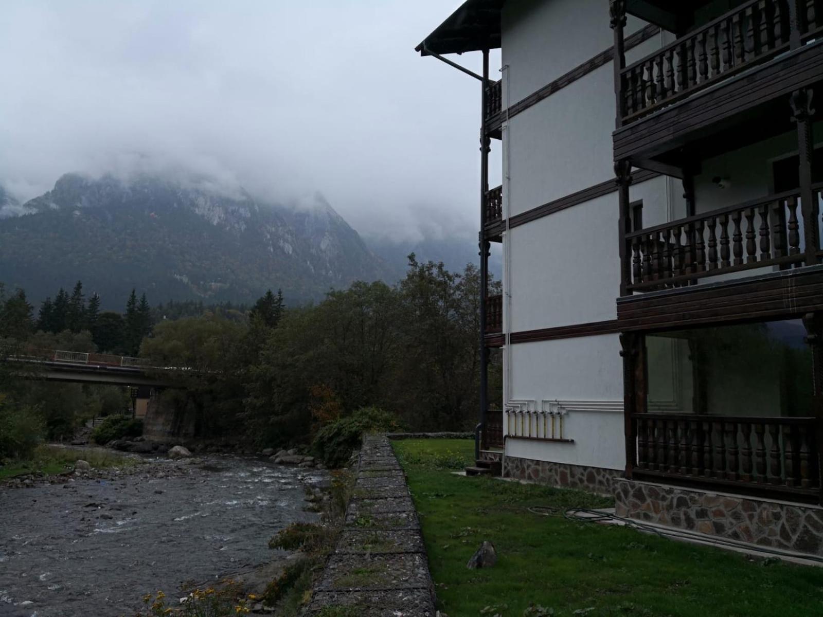 APARTAMENT GOLDEN ROSE 2 view 4