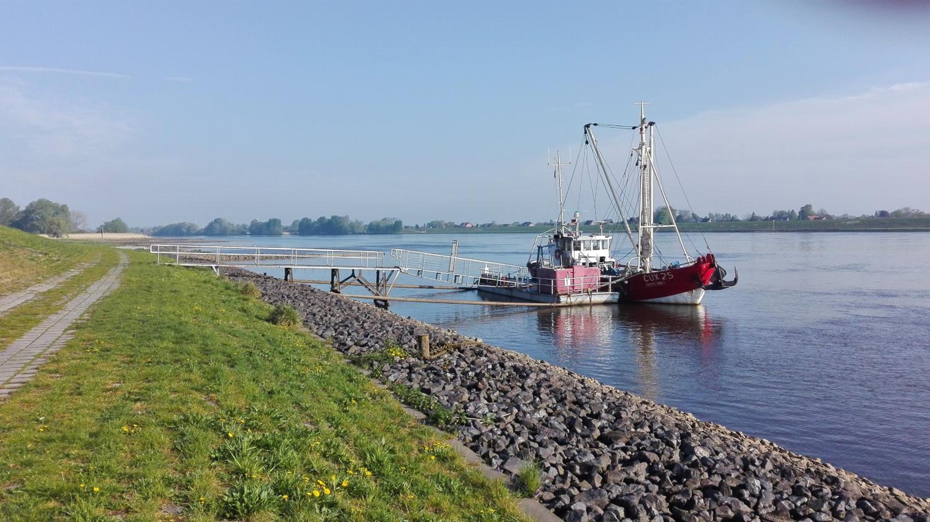 Ferienwohnung Elbe Diek view 2