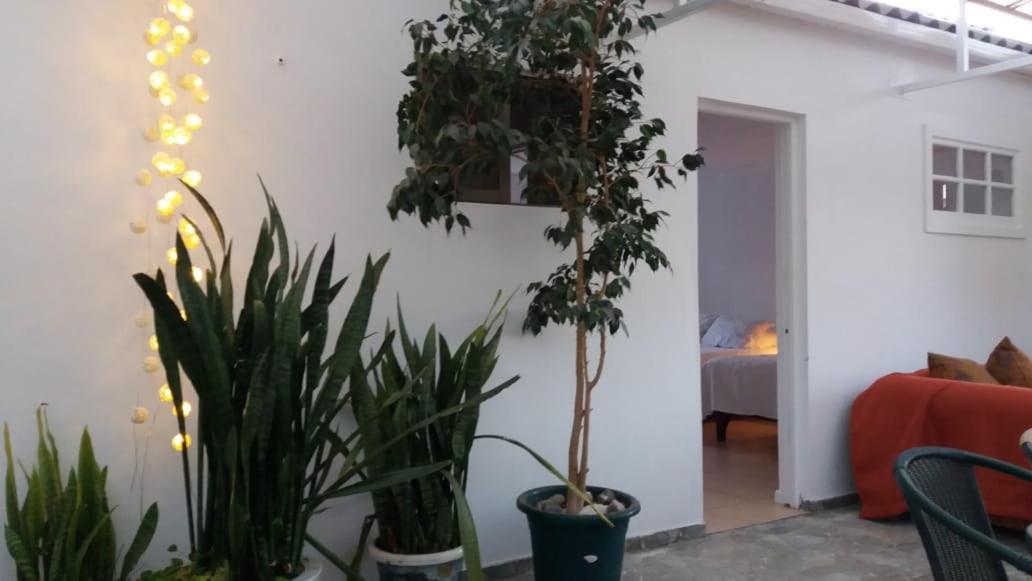 Hostal Casa 95