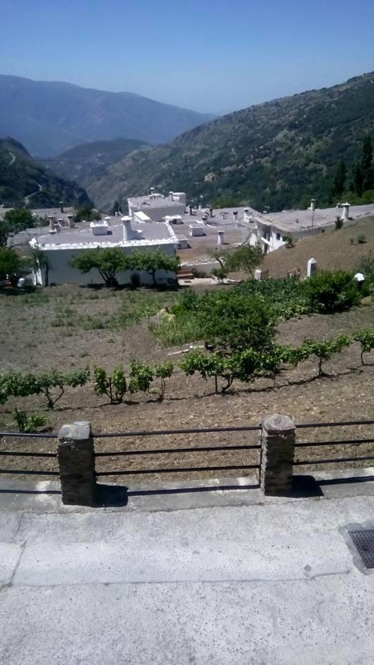 Casa Pablo view 5