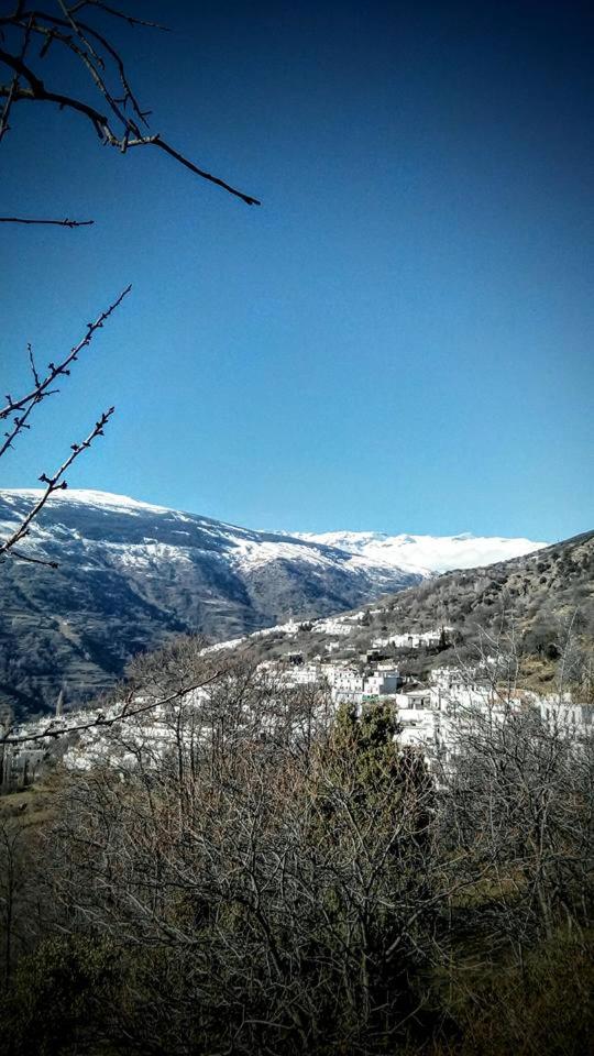 Casa Pablo view 3