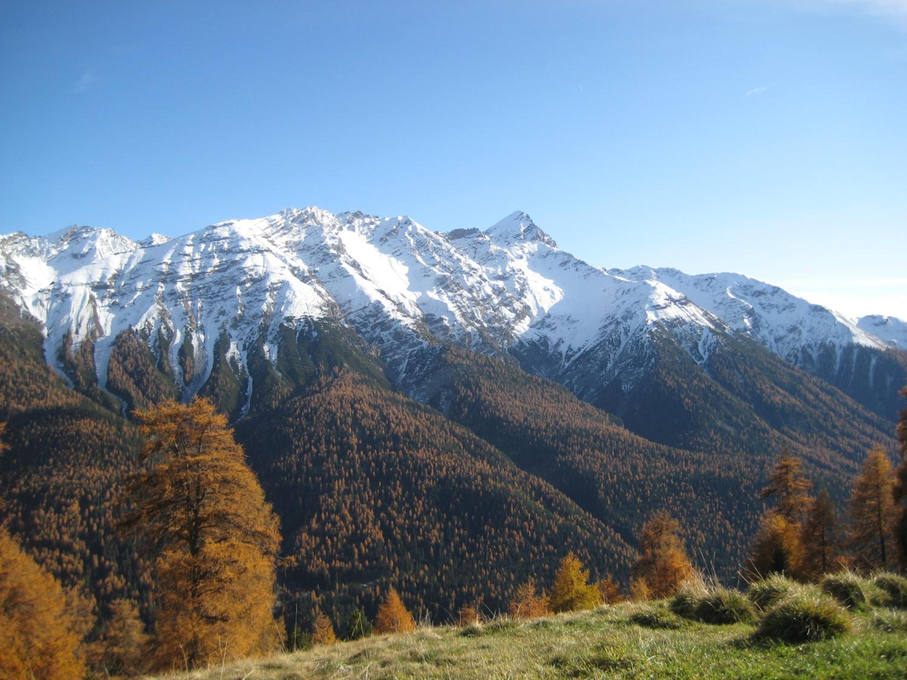 Photo 29