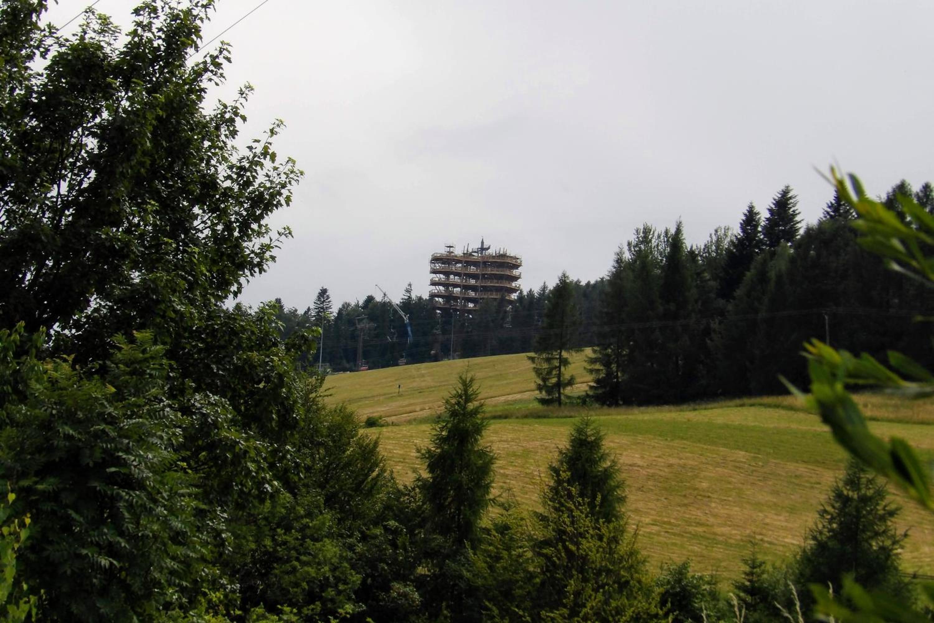 Photo 31