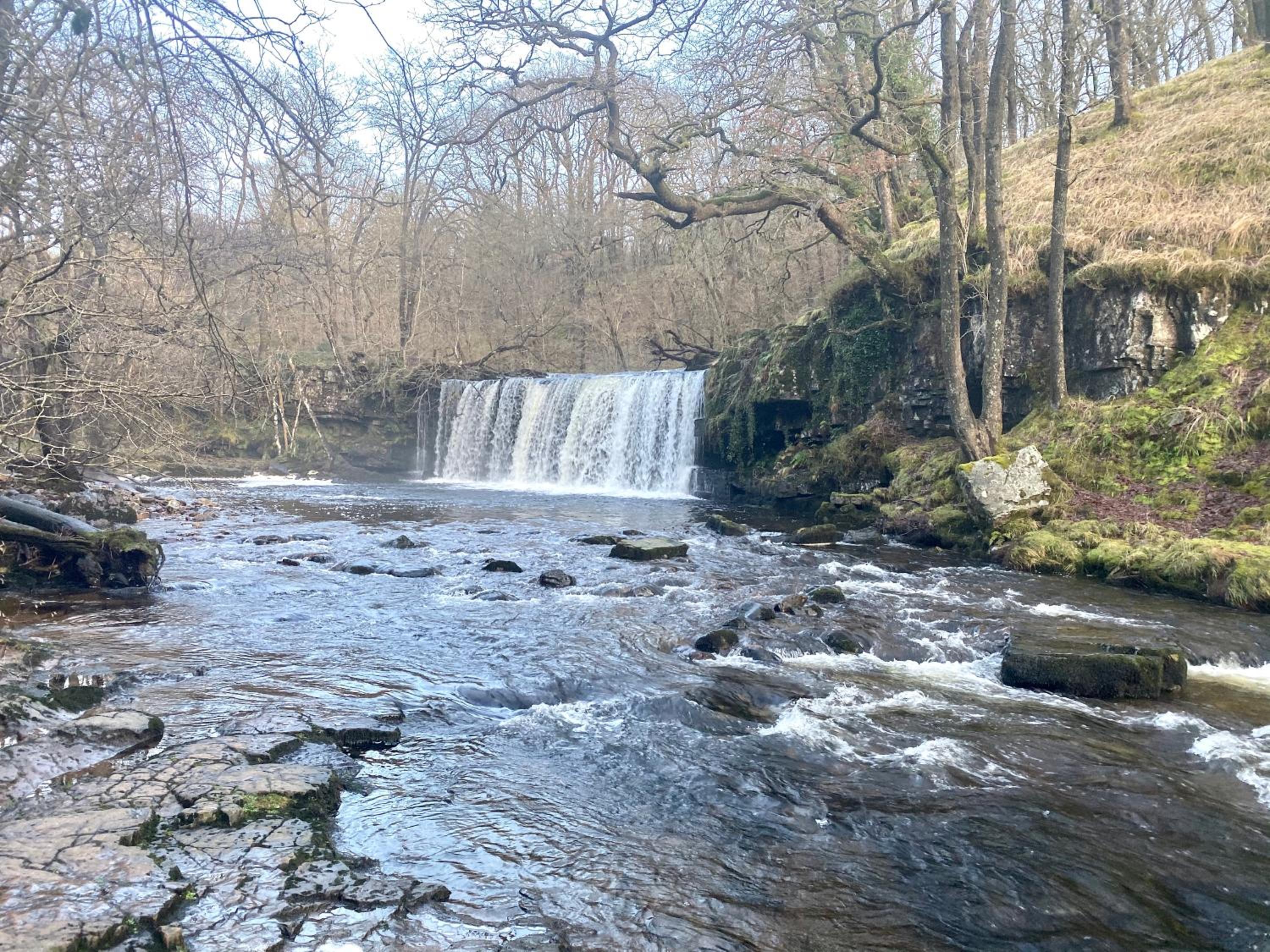 Cilffriw Farm view 2