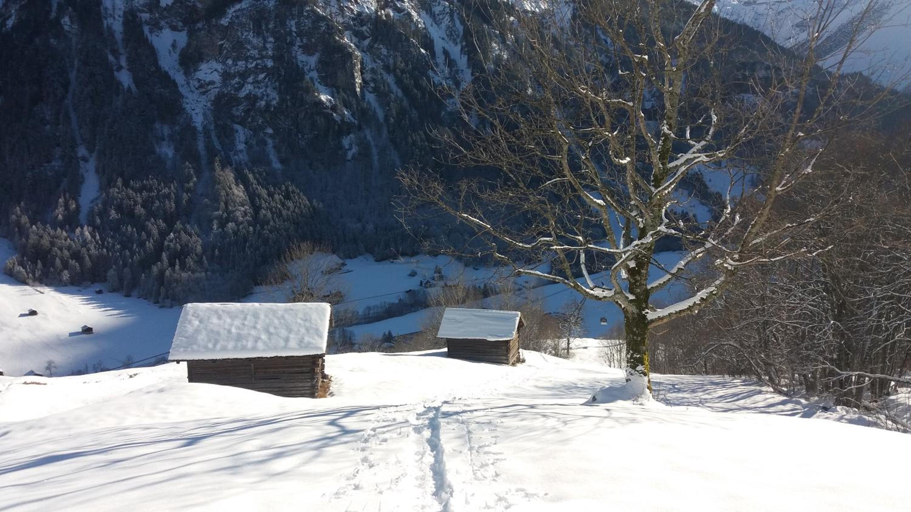 Haus Brügga