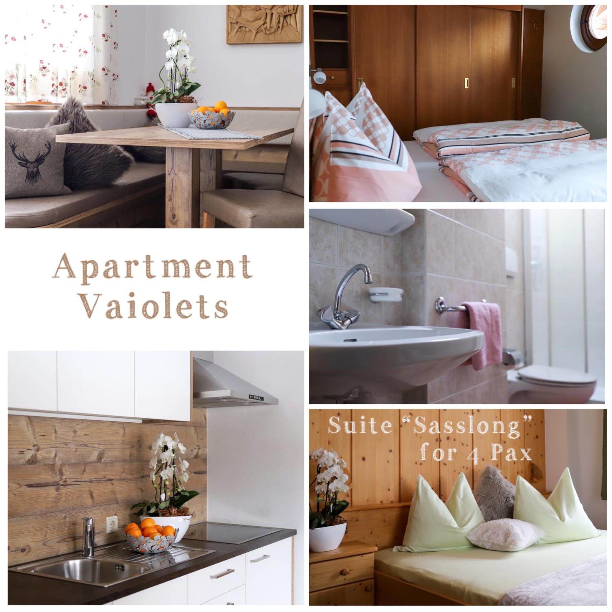 Apartments Vaiolet view 3