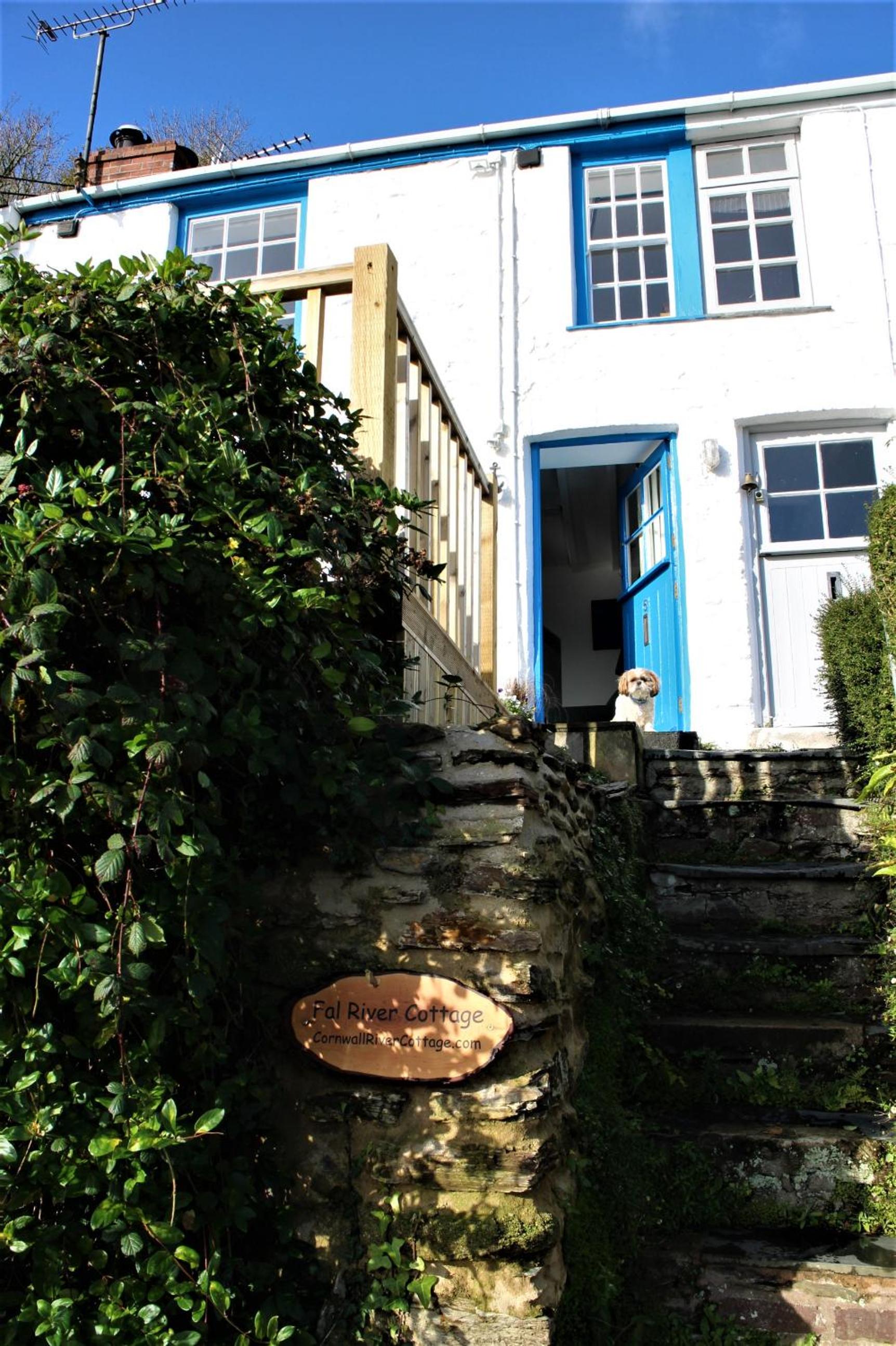 Photo 8