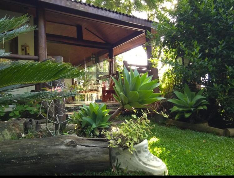 Casa na Floresta em Campos do Jordao