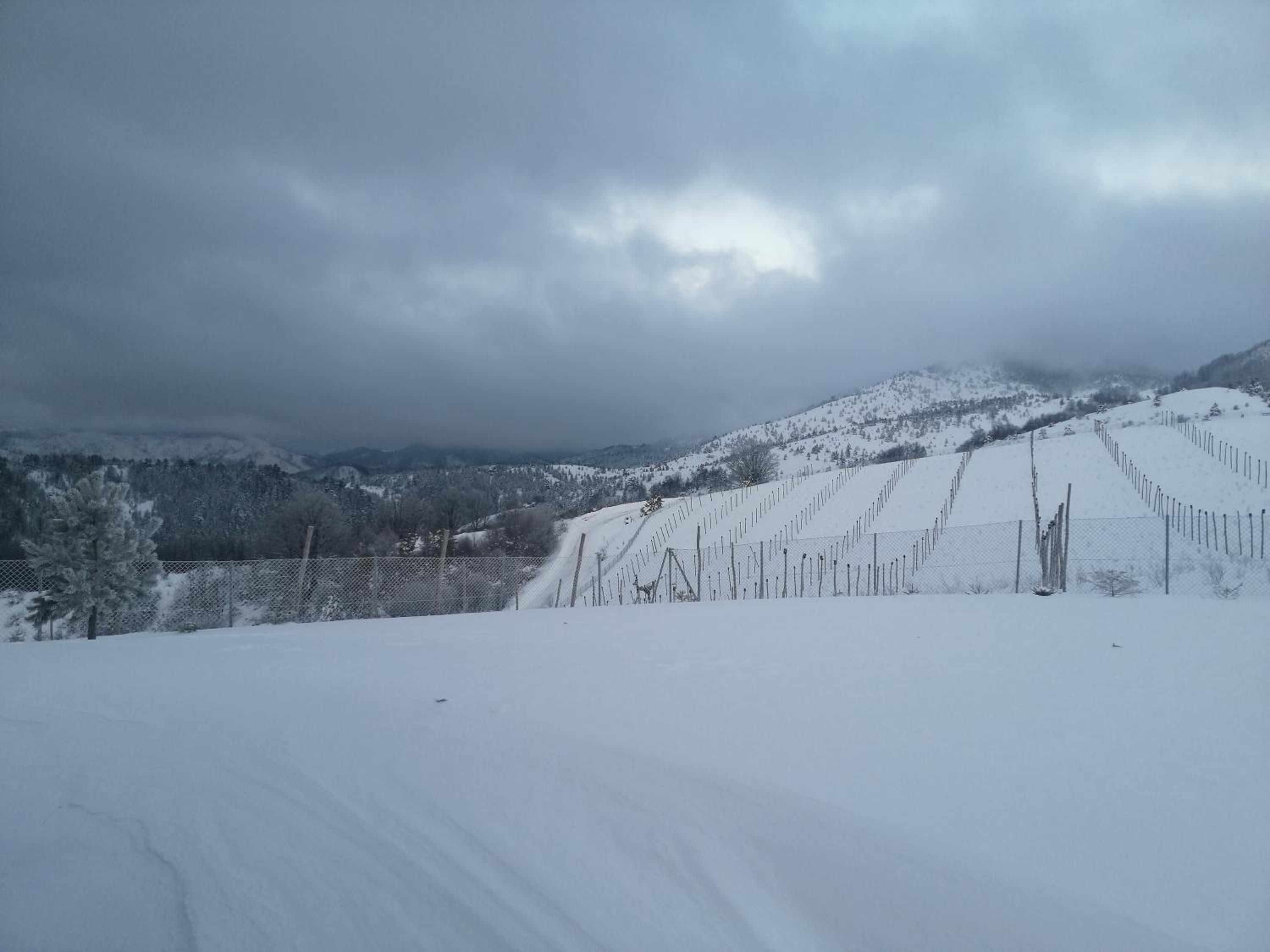 Vikendica RANKOVIĆI