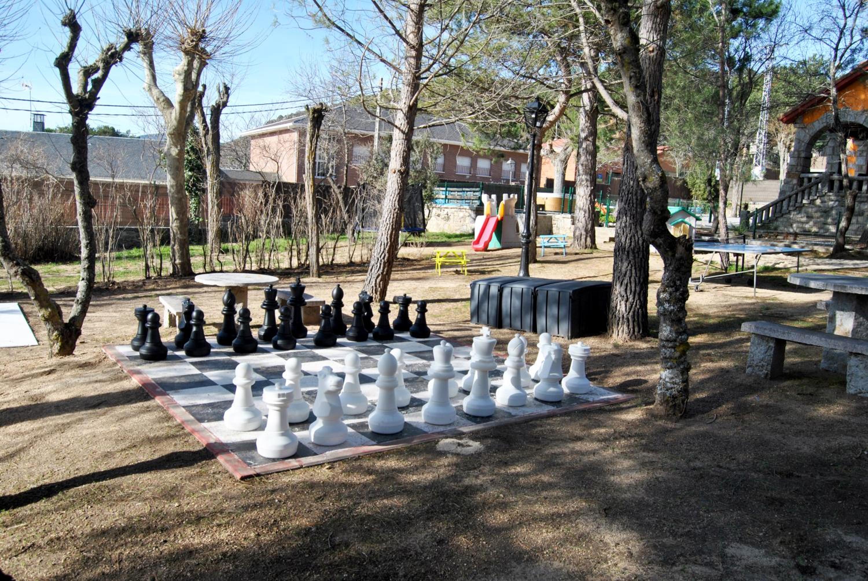Photo 43