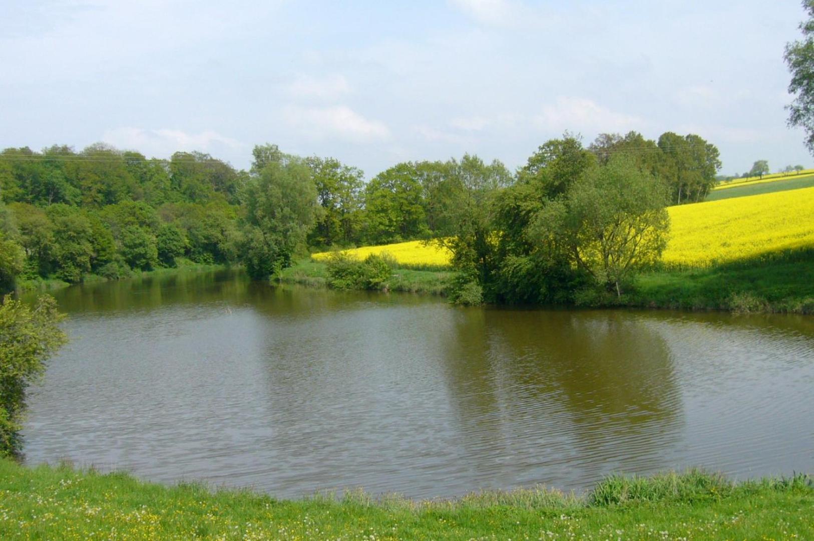 Ferienidyll Aumuhle, "Bebenburg" - Property Image 13