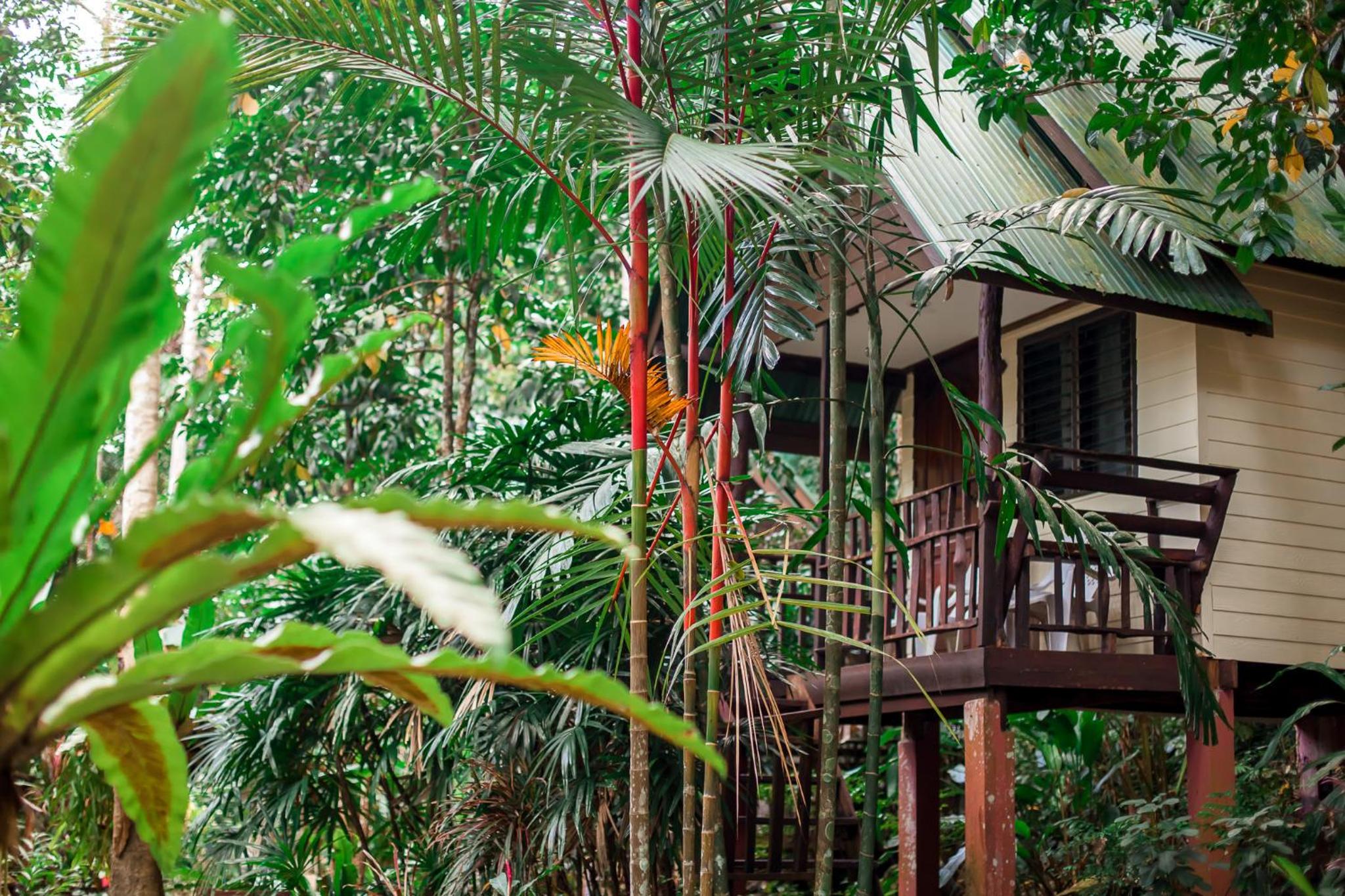 The Vatika Resort and Spa
