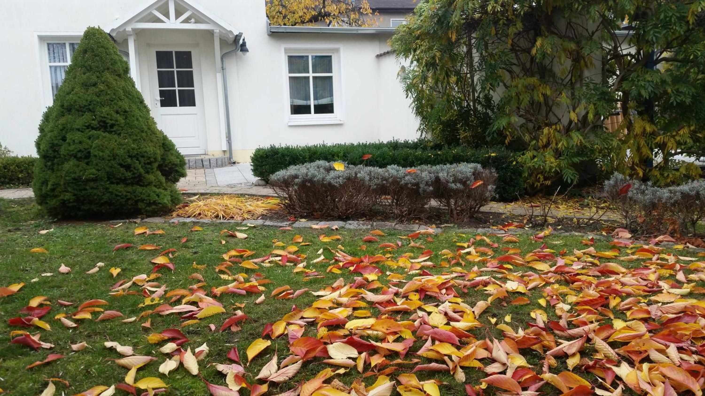 Pension Waldrose