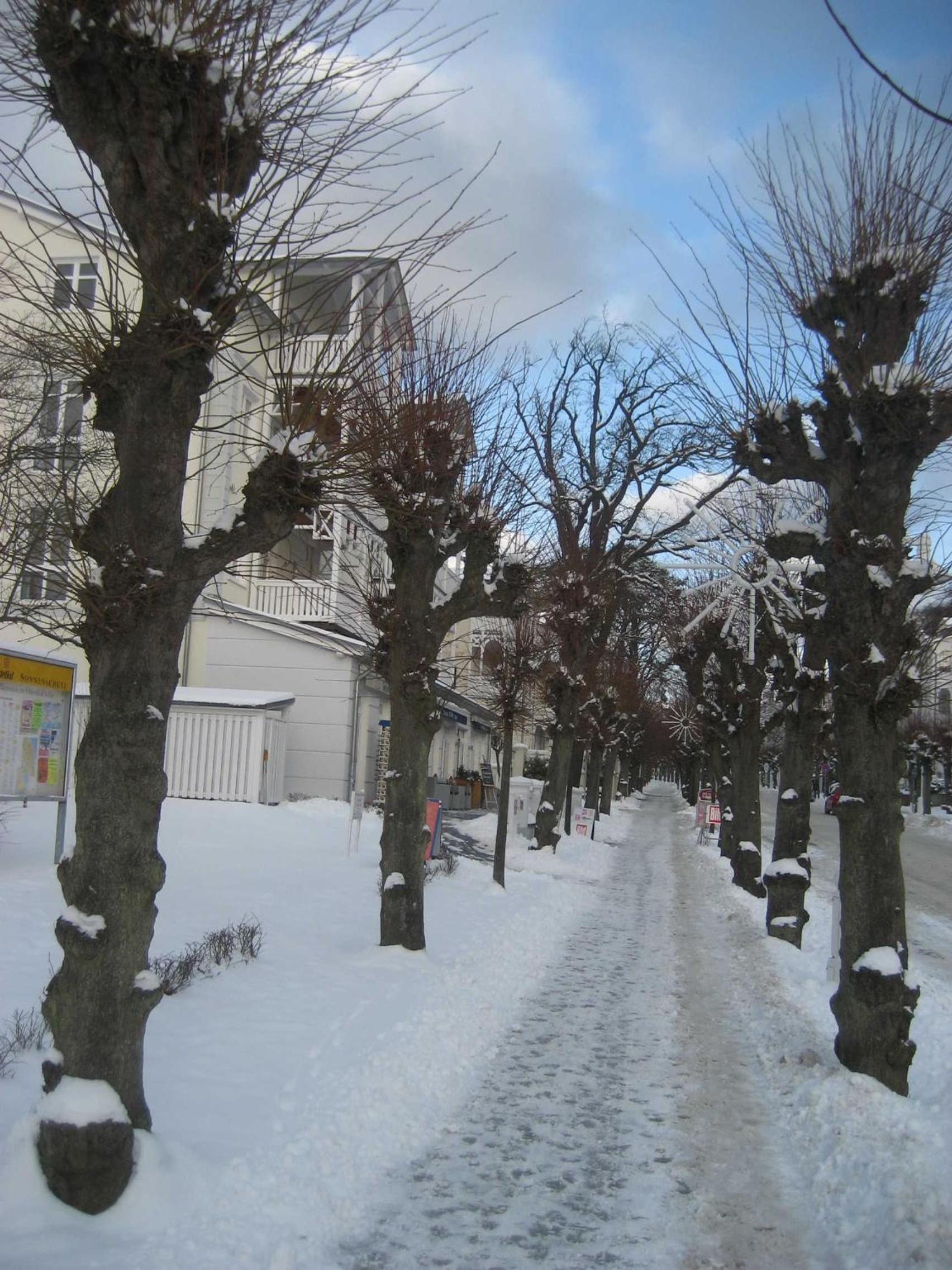Pension Waldrose