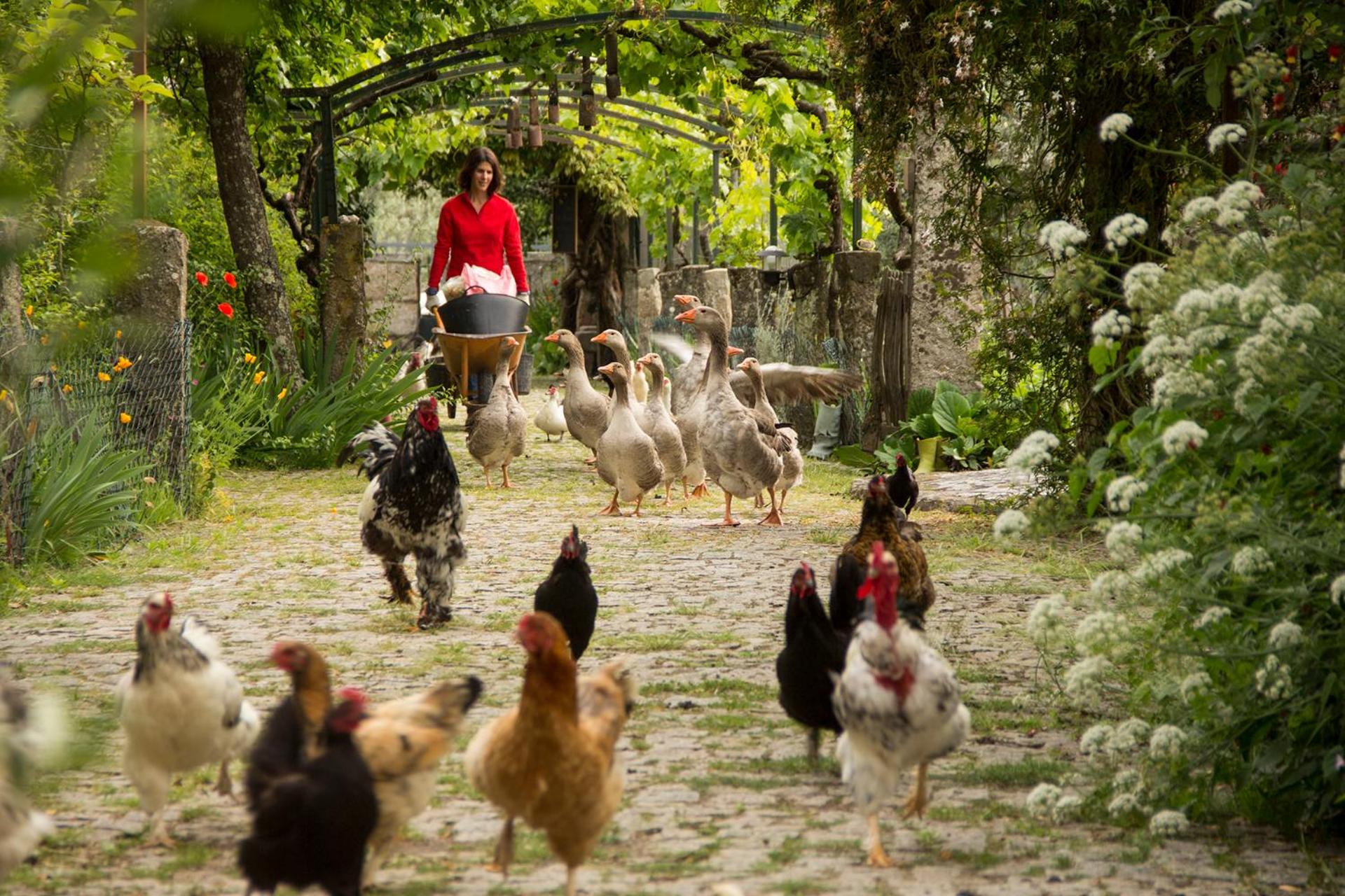 Casa Das Palmeiras-Pedagogic Farm
