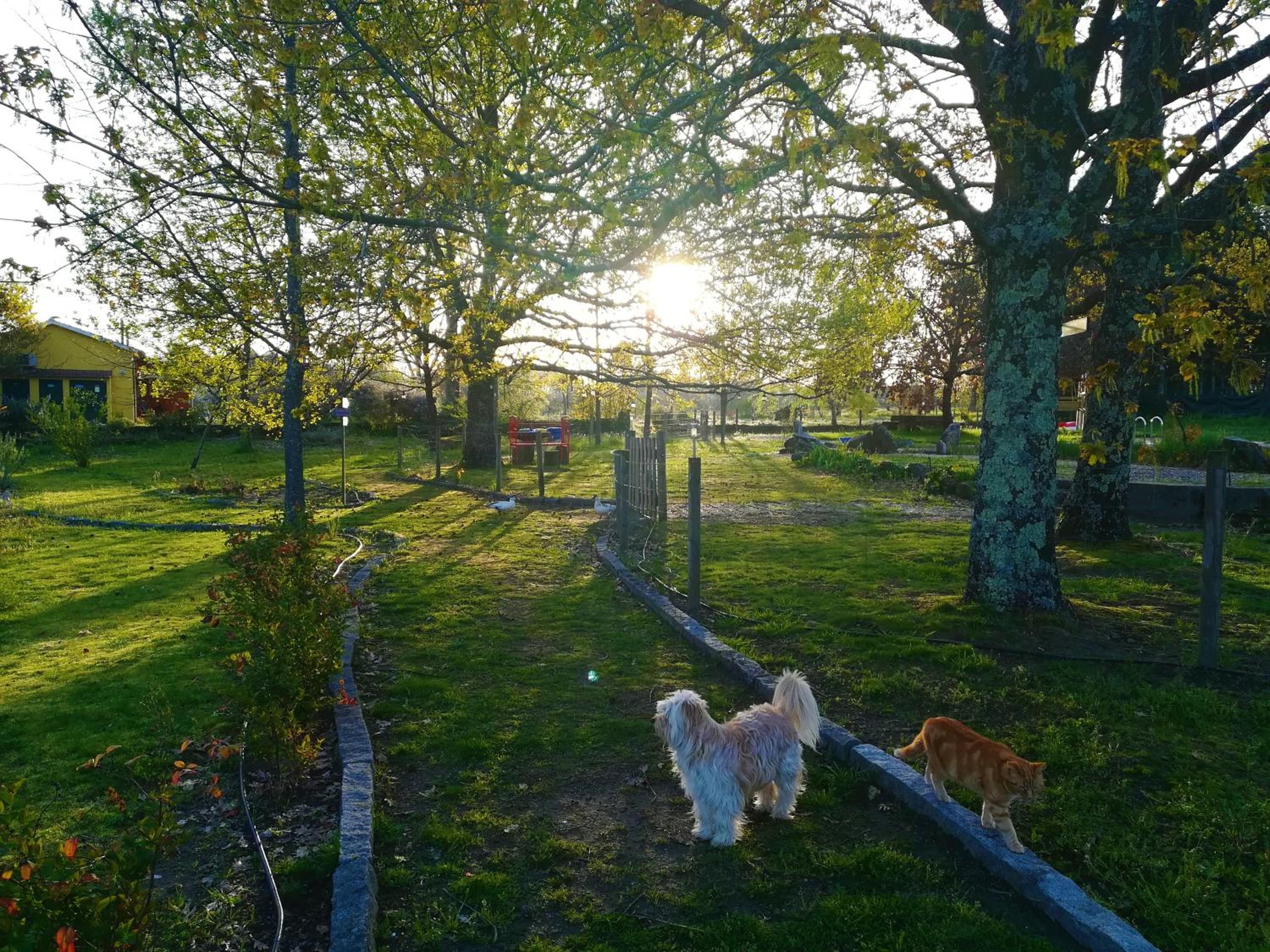 Casa Das Palmeiras-Pedagogic Farm