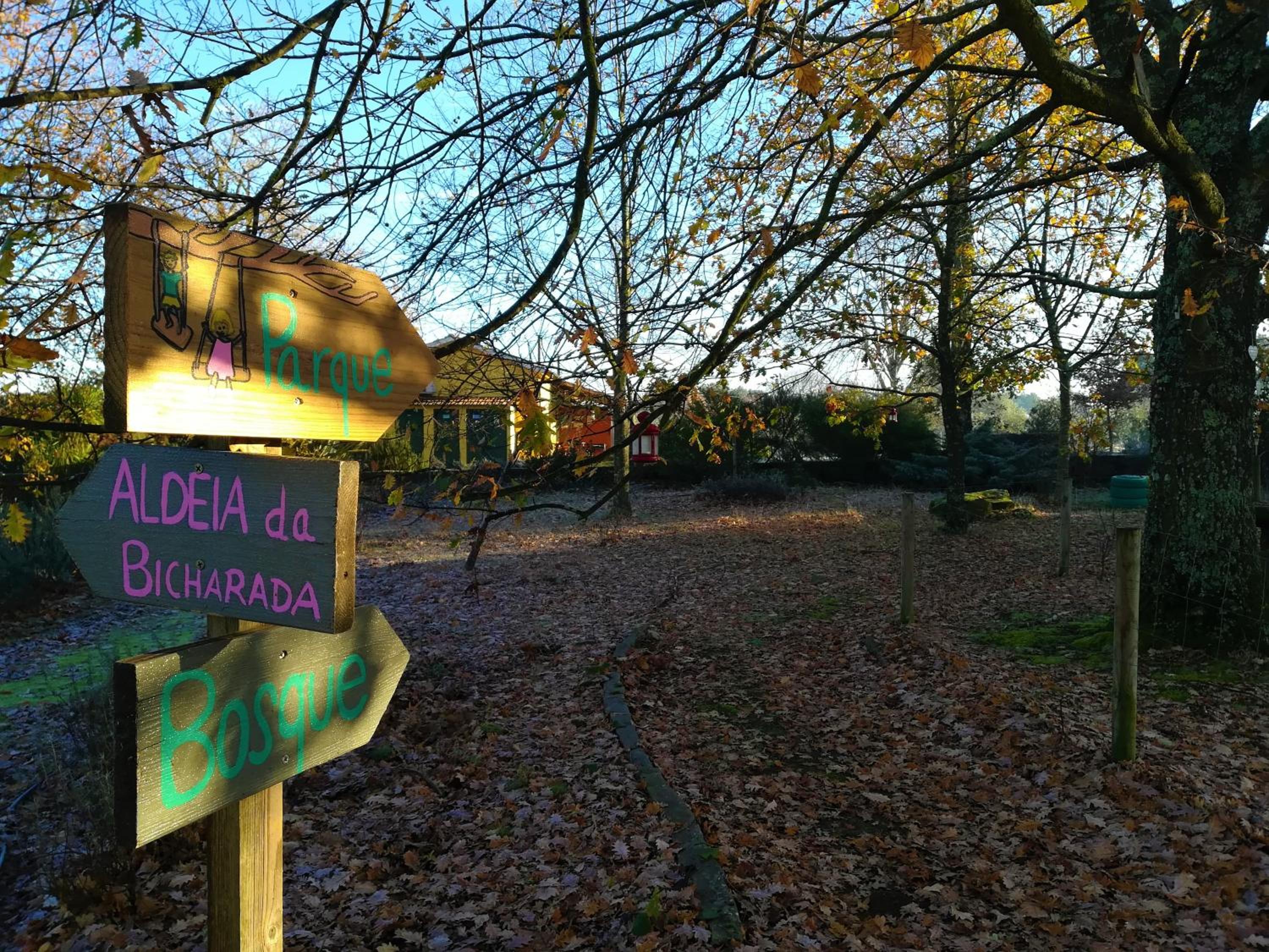 Casa Das Palmeiras-Pedagogic Farm