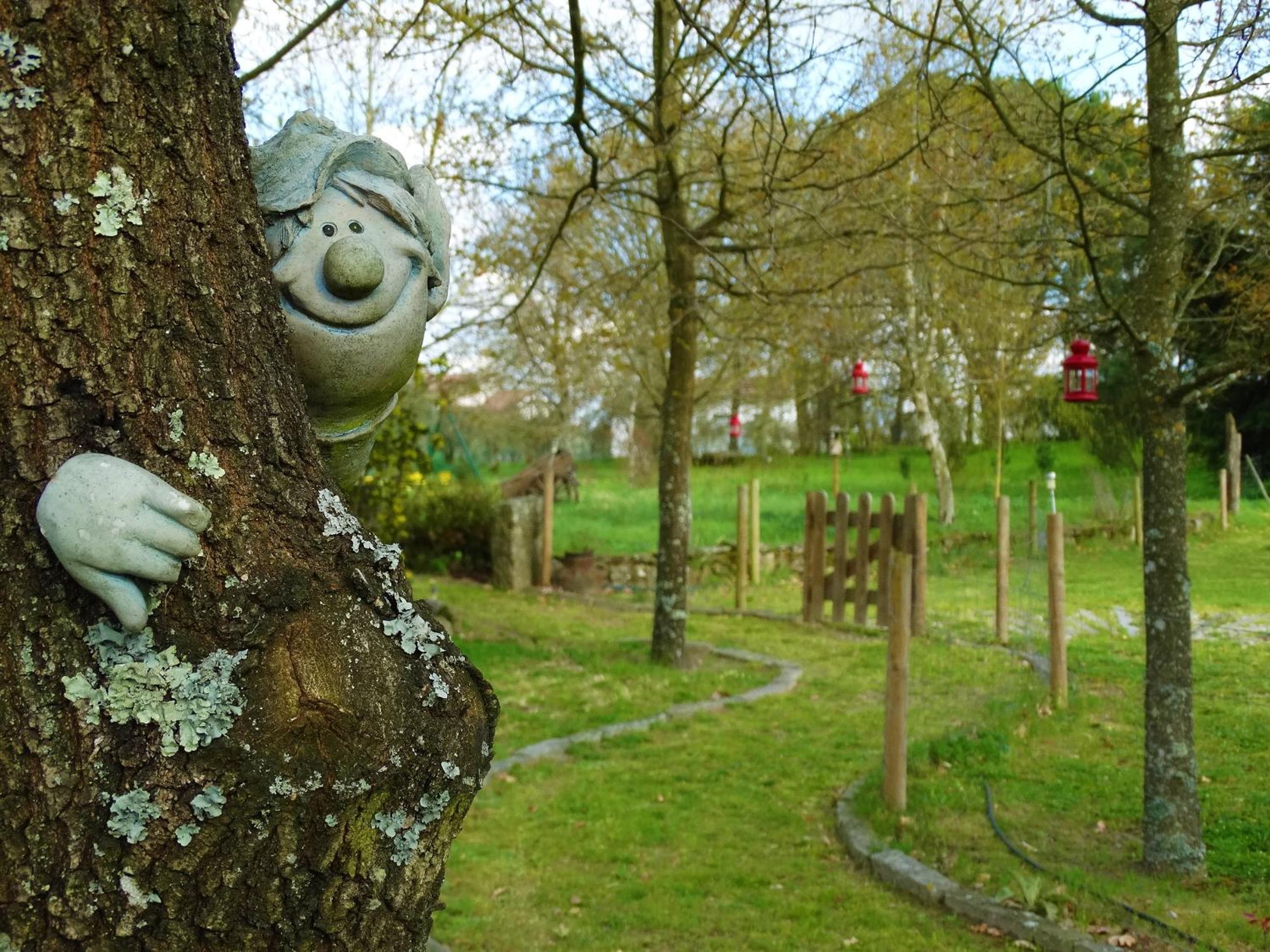 Casa Das Palmeiras-Pedagogic Farm
