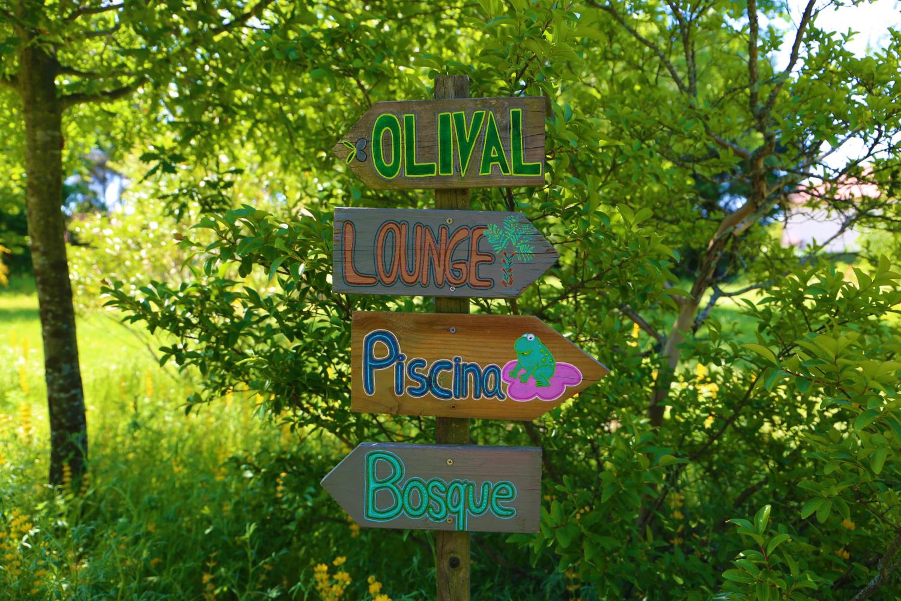 Casa Das Palmeiras-Pedagogic Farm