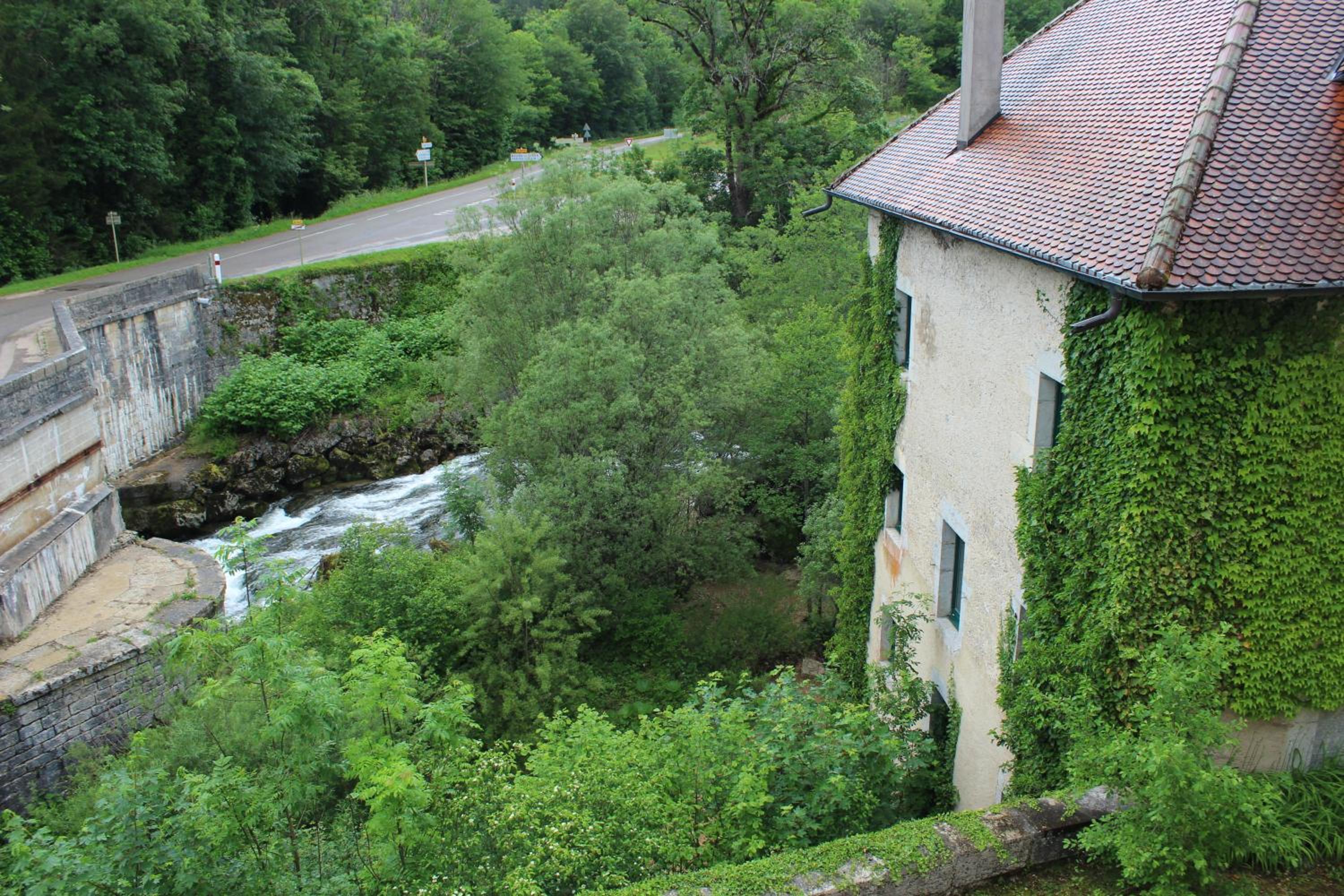 Photo 15