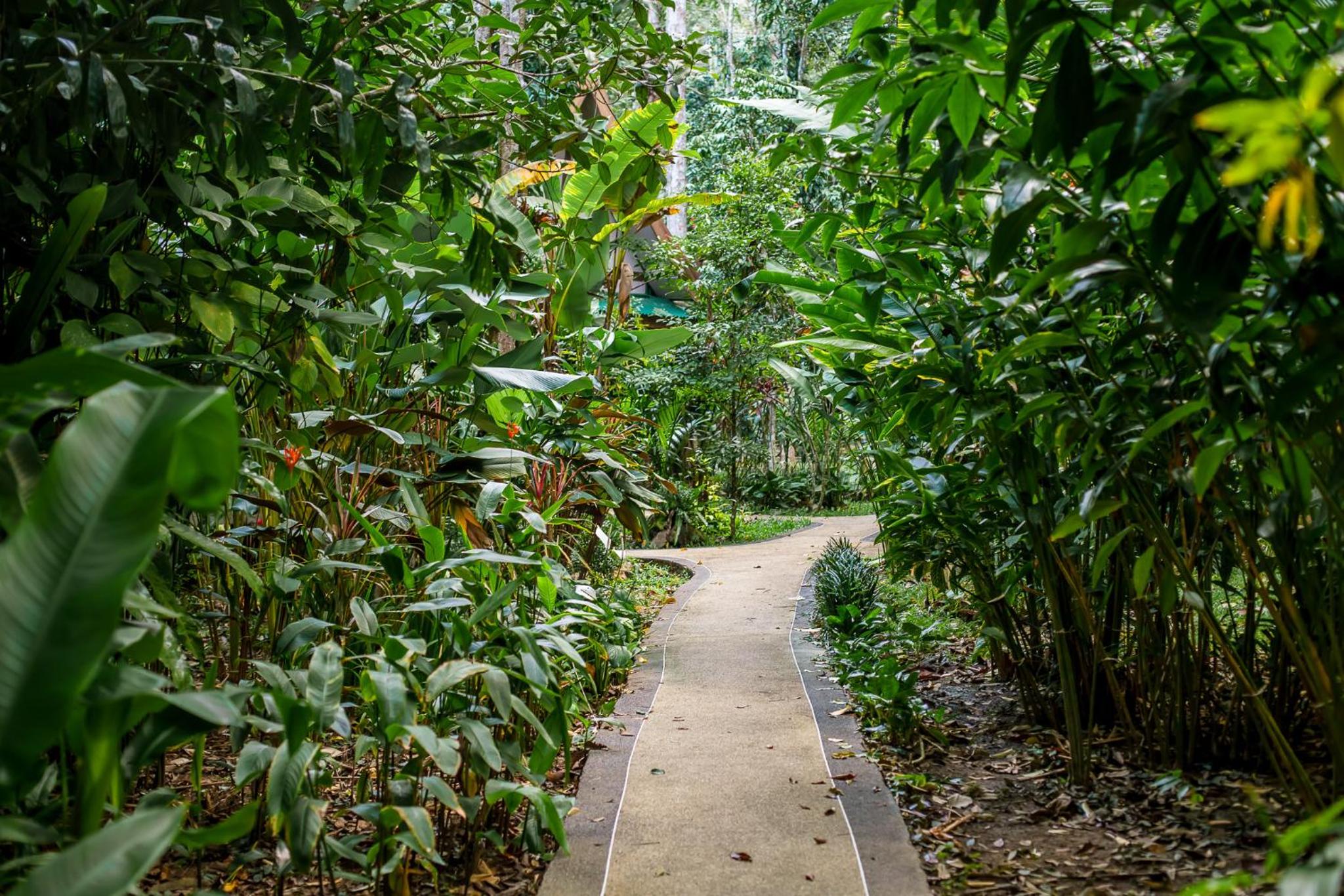 The Vatika Resort and Spa