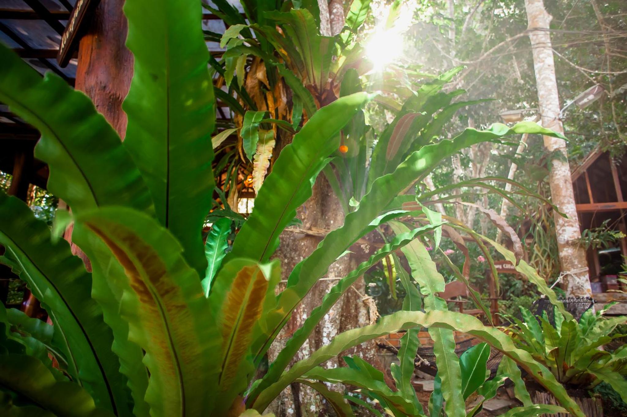 The Vatika Resort and Spa