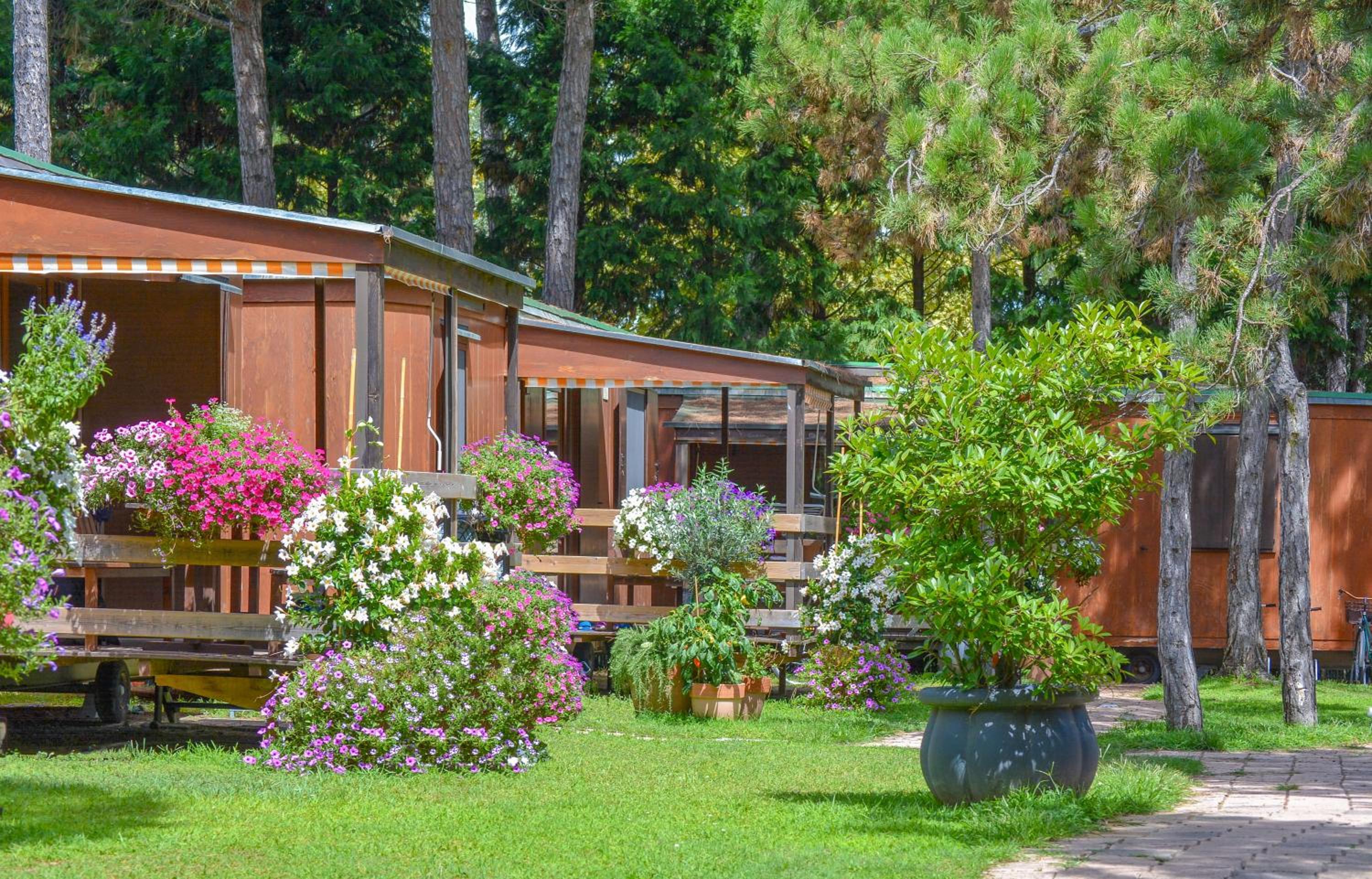 Il Tridente Camping Village