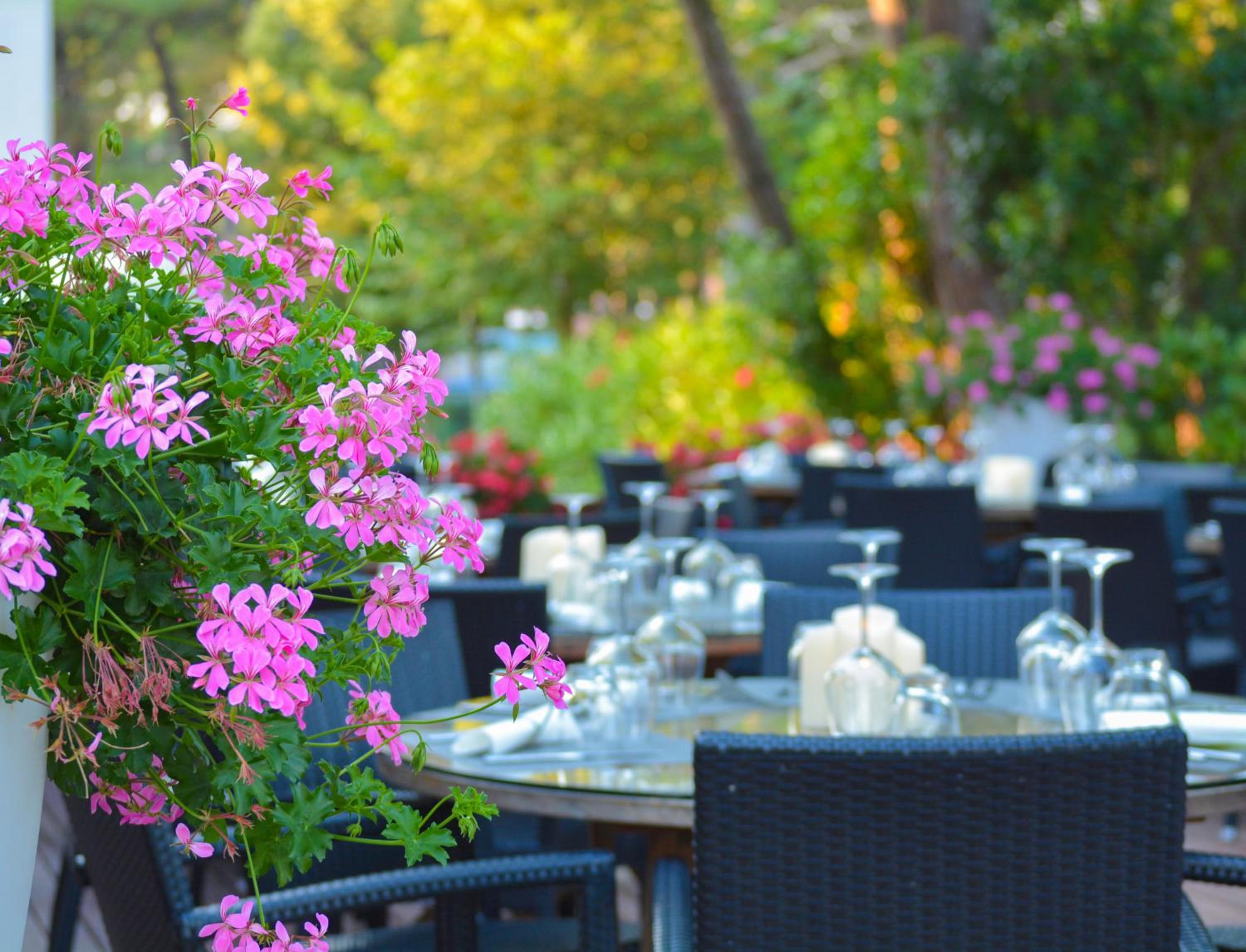 Il Tridente Camping Village