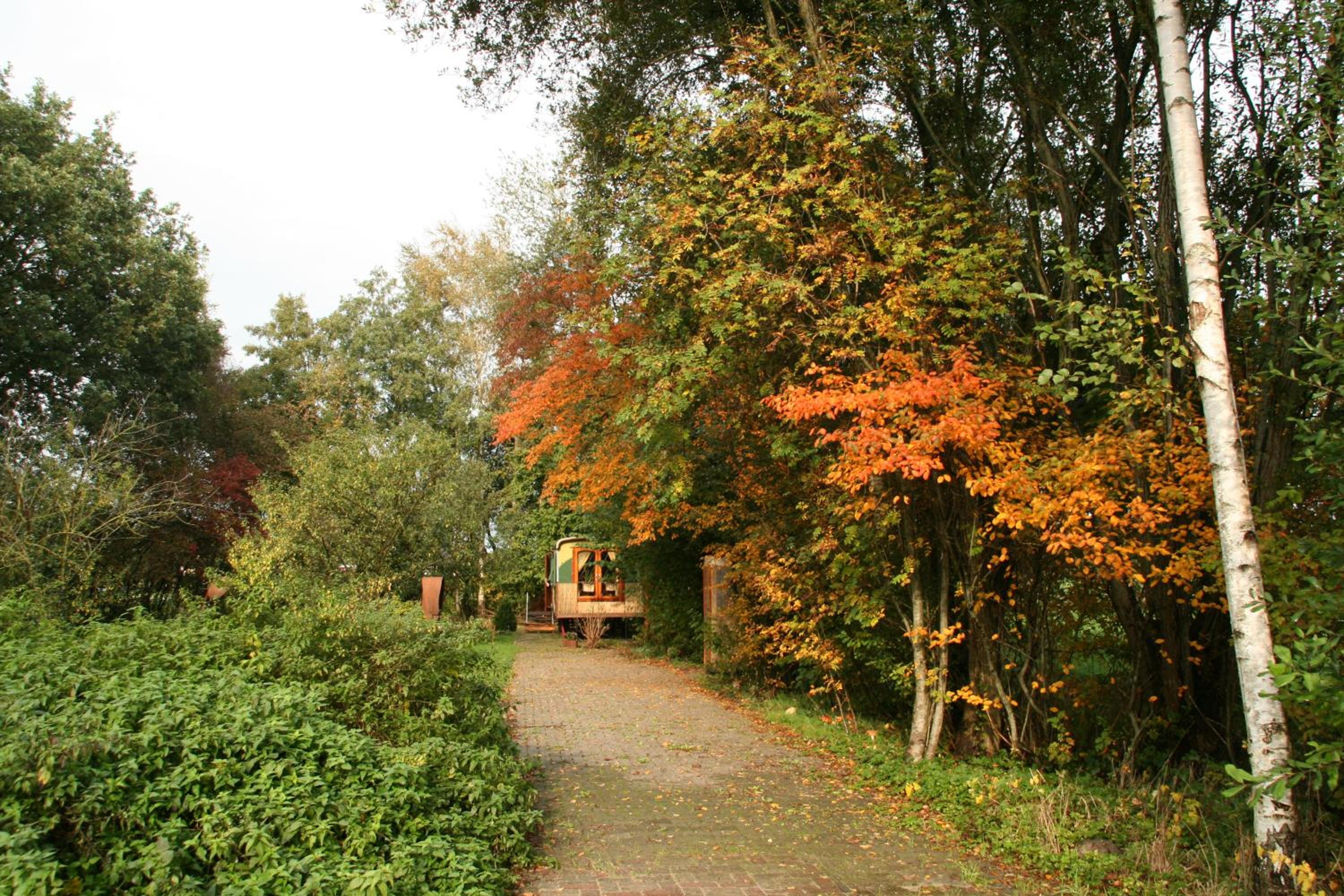 Photo 31
