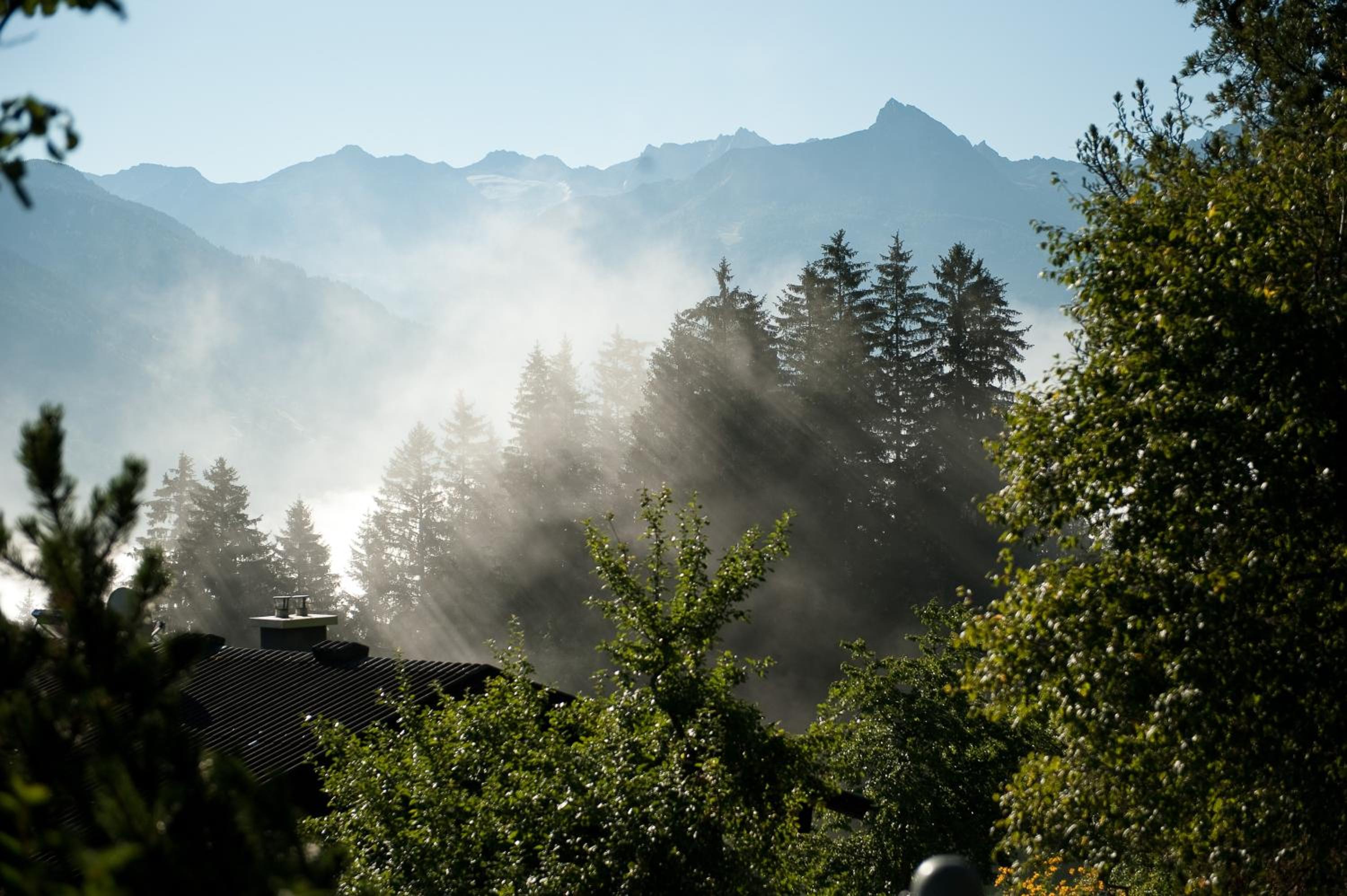 Brandnerhof