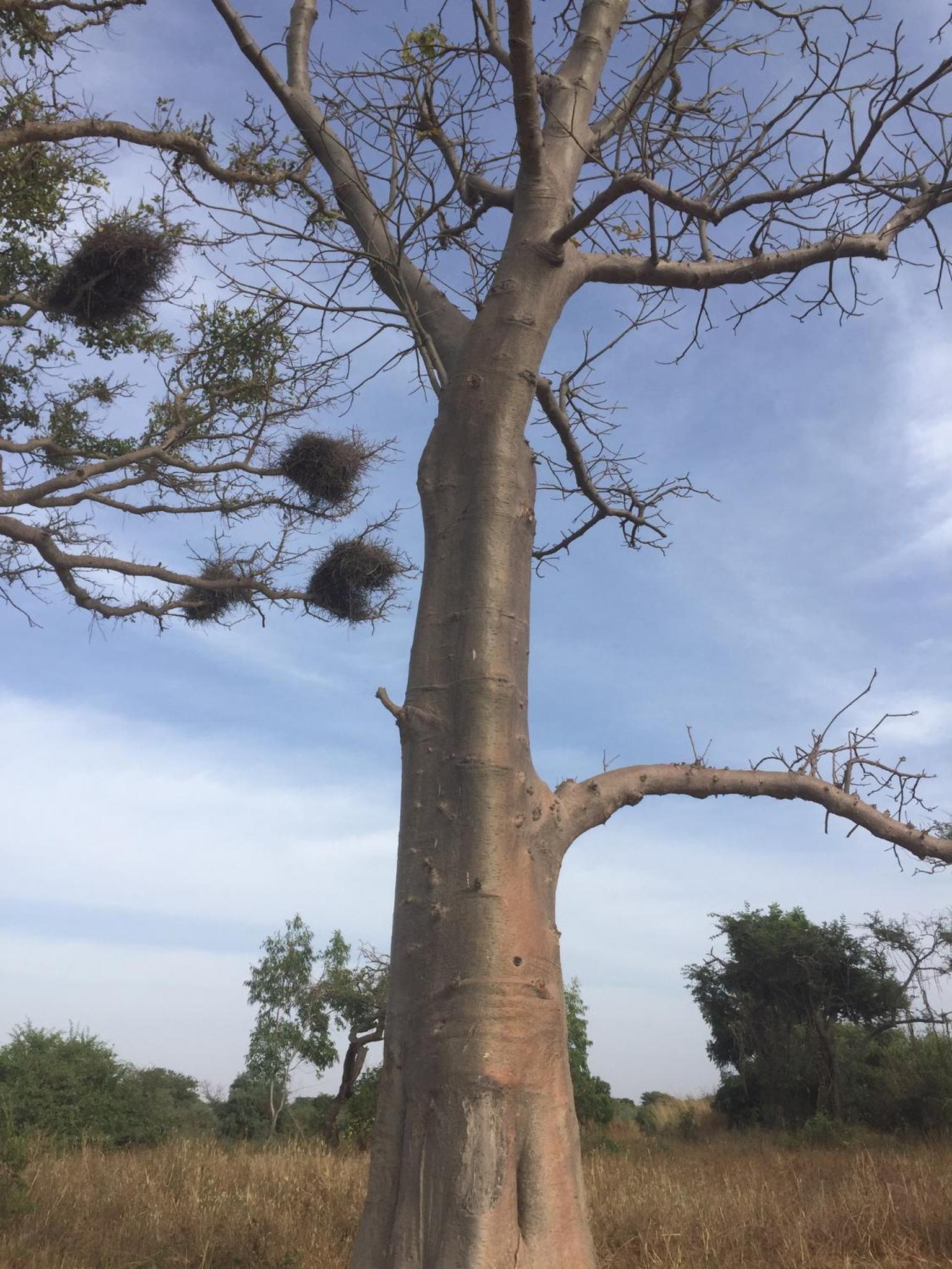 Photo 34