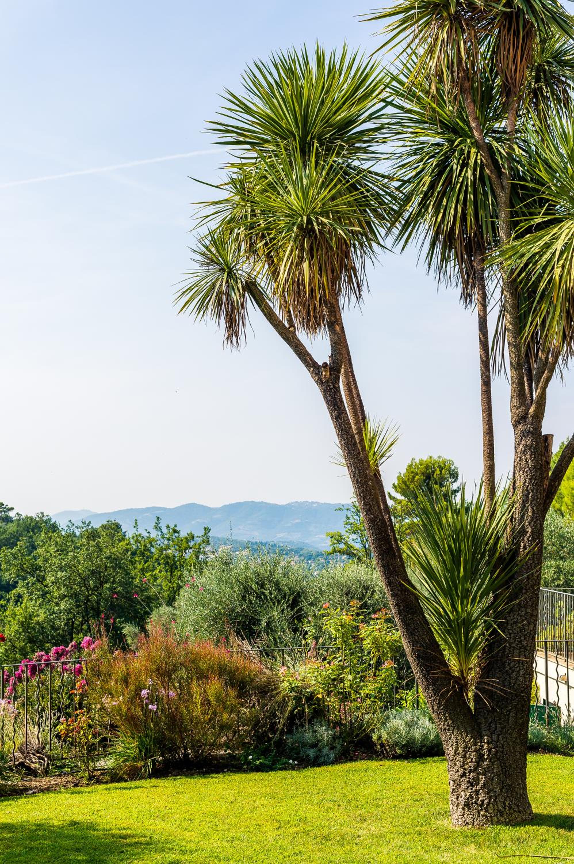 Mas Du Roc Bed & Breakfast view 2