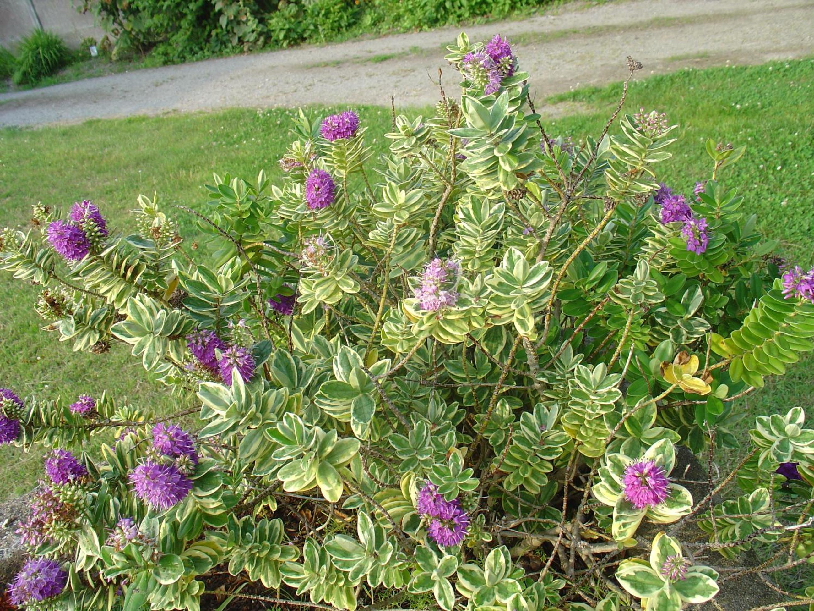 Photo 6