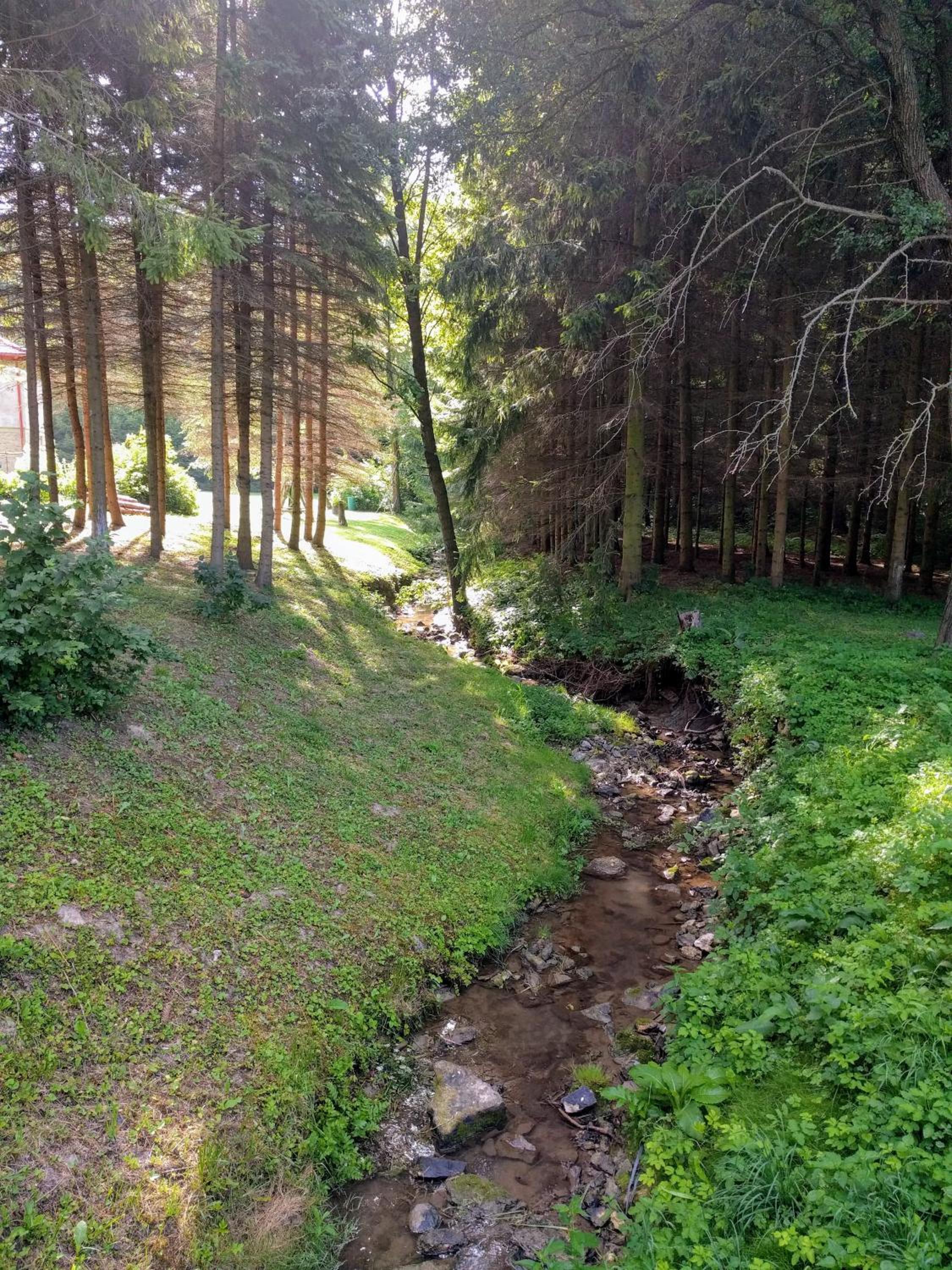 Photo 26