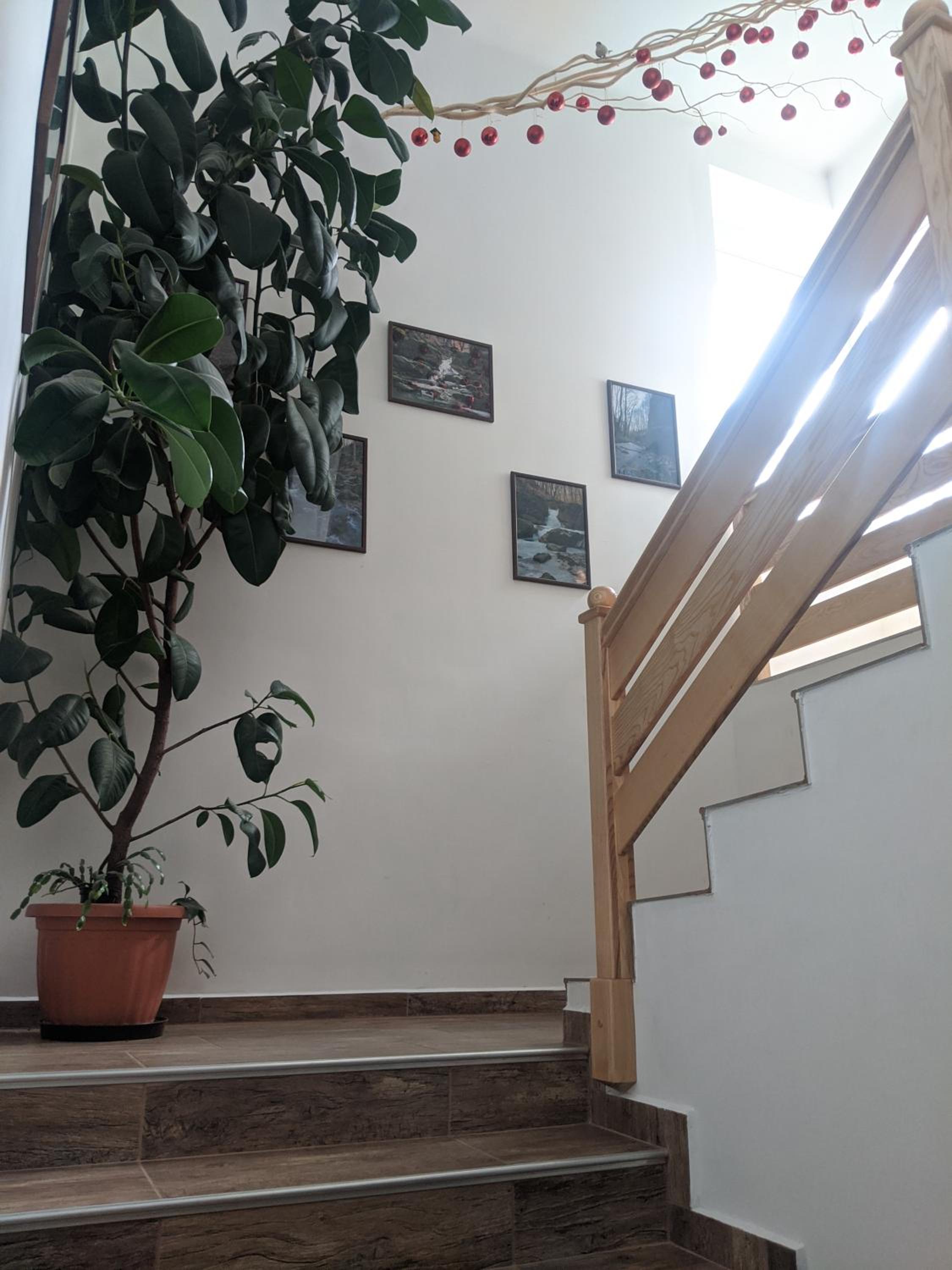Római Fürdő Apartmanház view 5