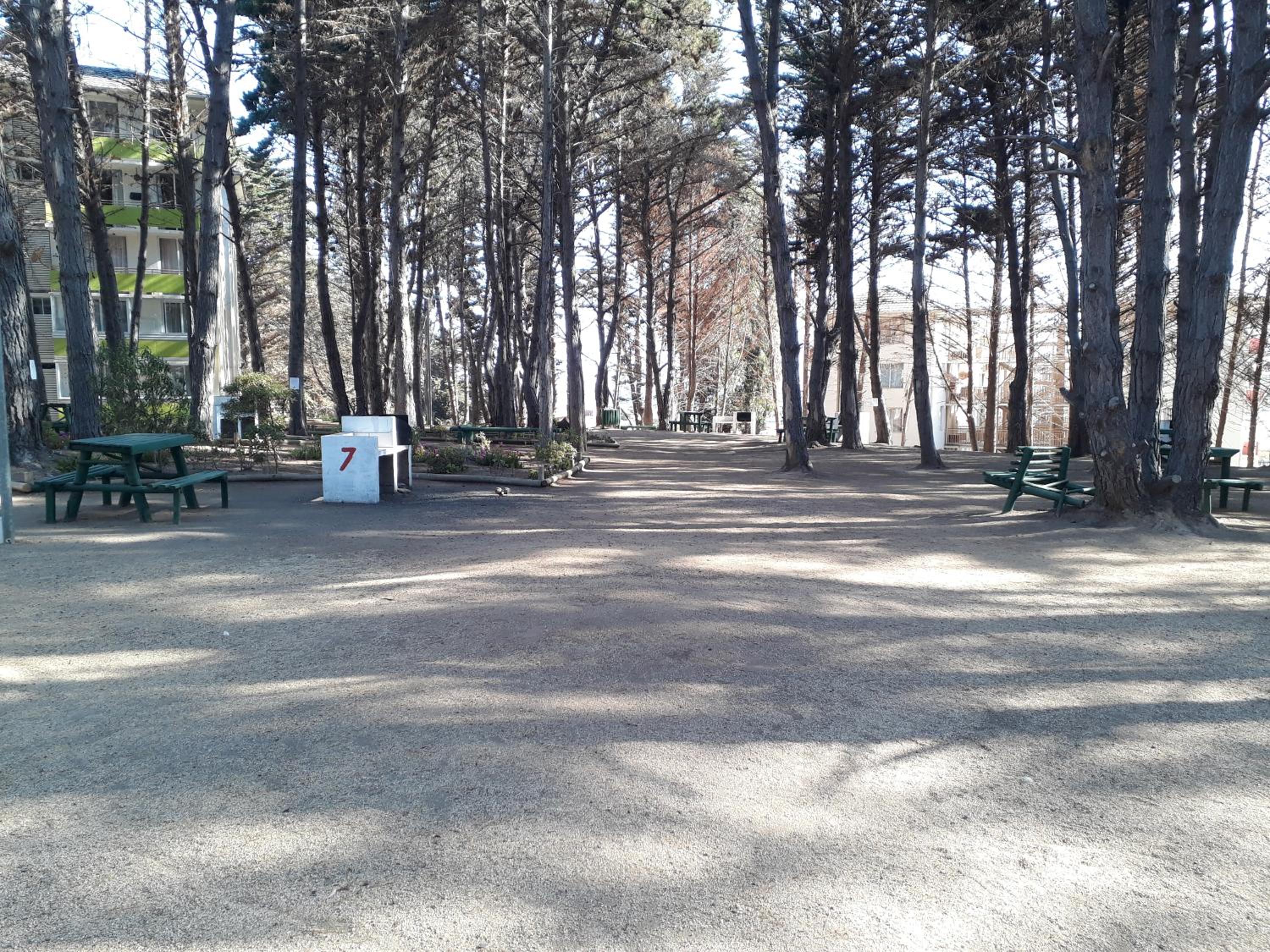Departamento Bosques del Tabo view 2