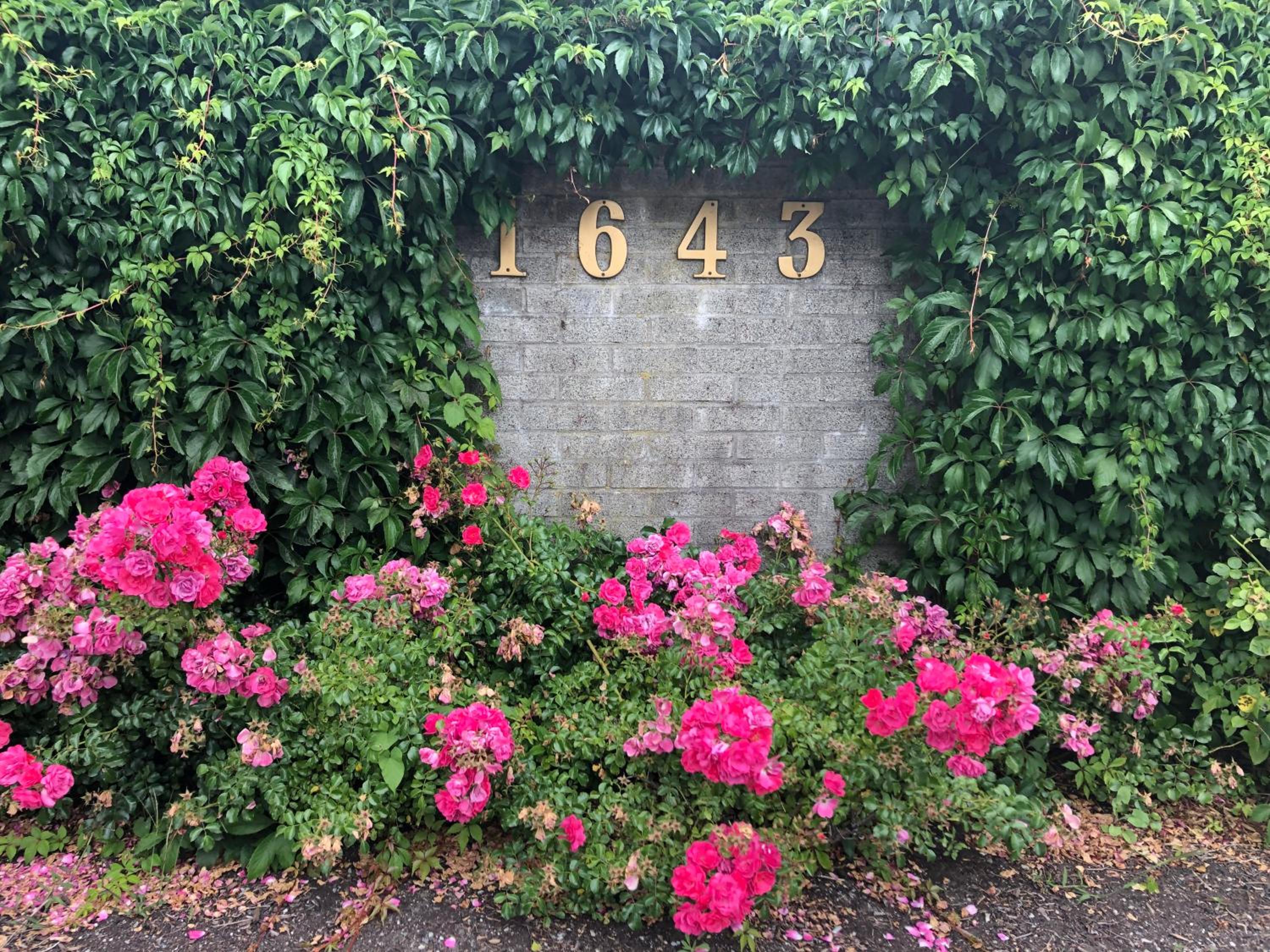 Photo 38 sur 53 de Vancouver shaughnessy guest home