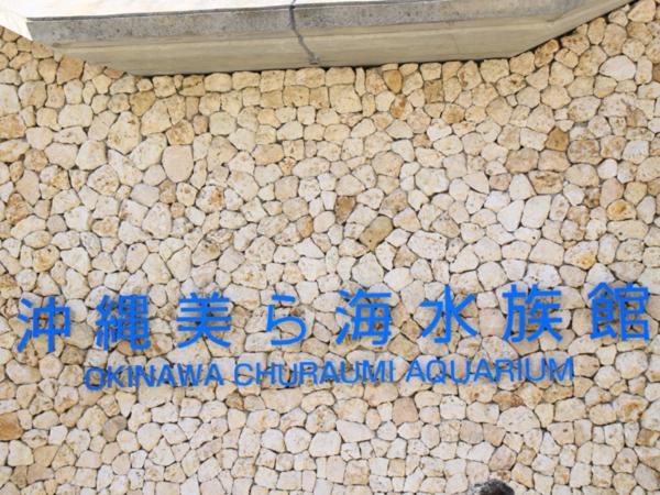 Kariyushi Condominium Resort Sea Side House