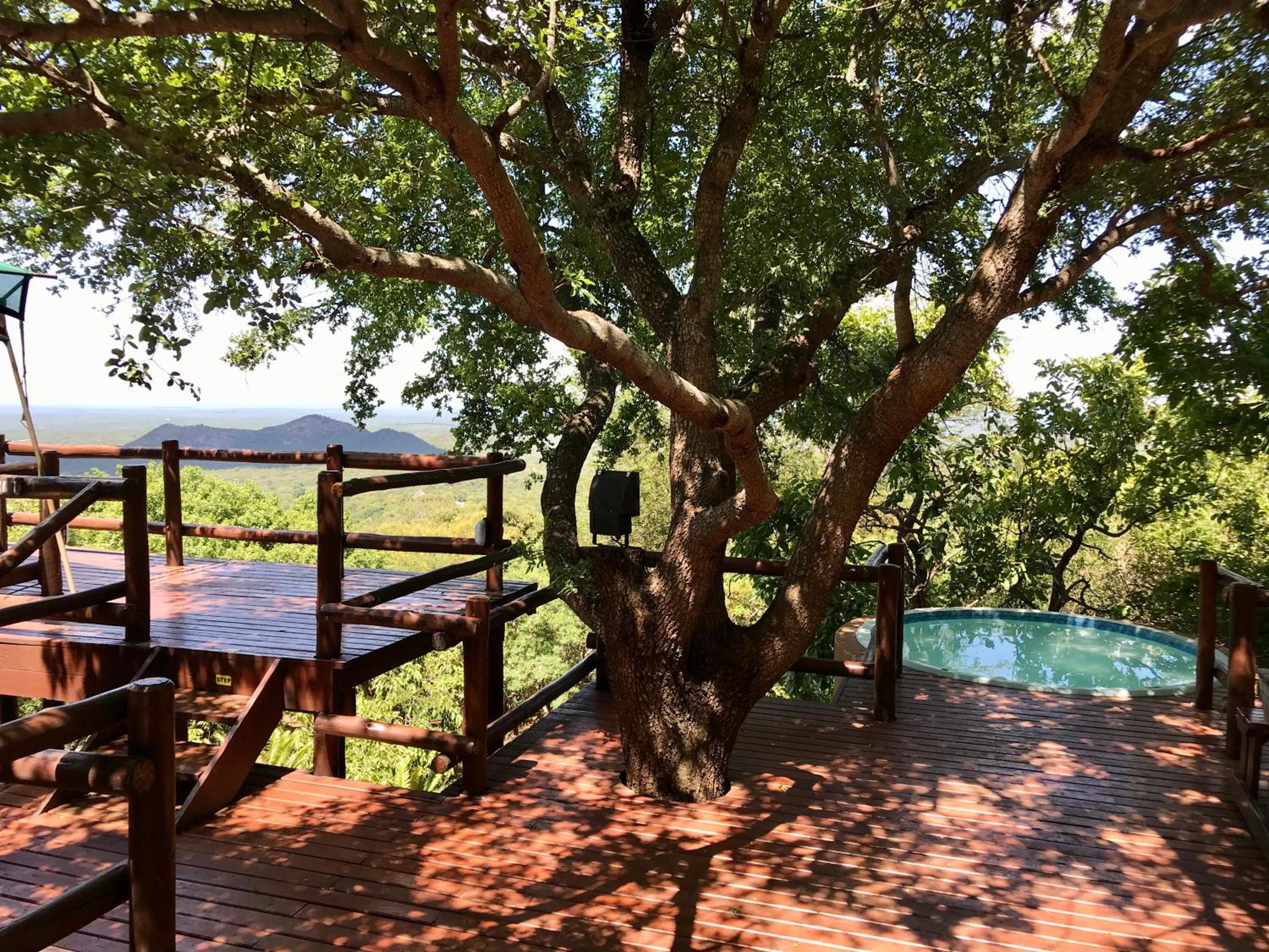 Amafu Forest Lodge