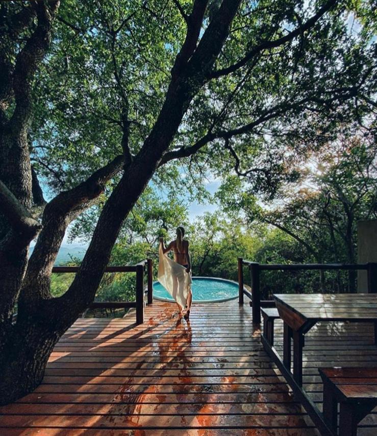 Amafu Forest Lodge