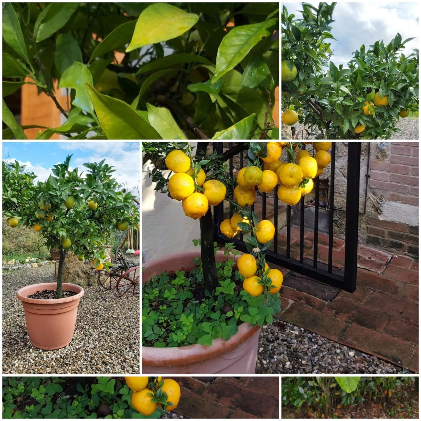 Photo 199