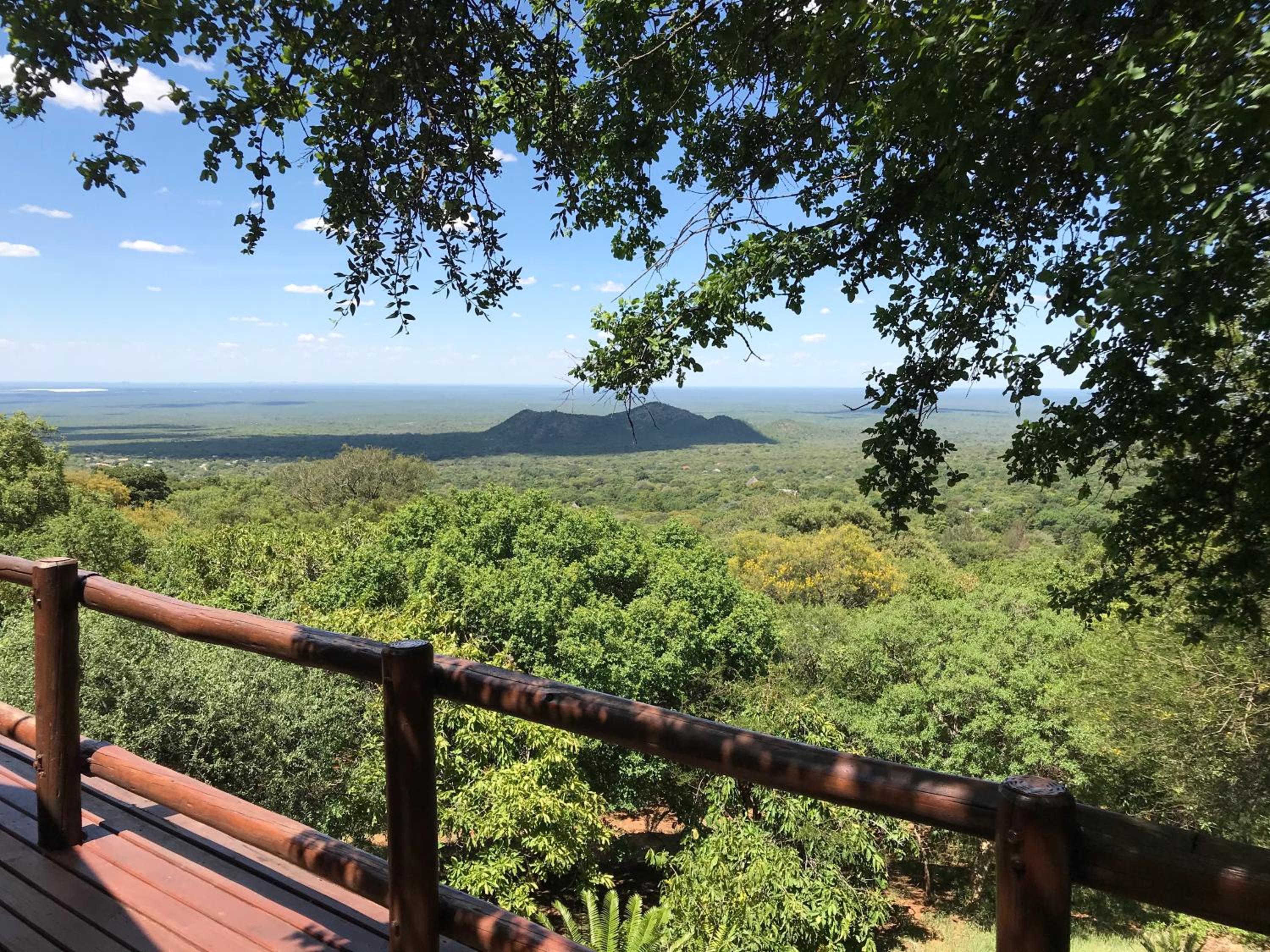 Amafu Forest Lodge
