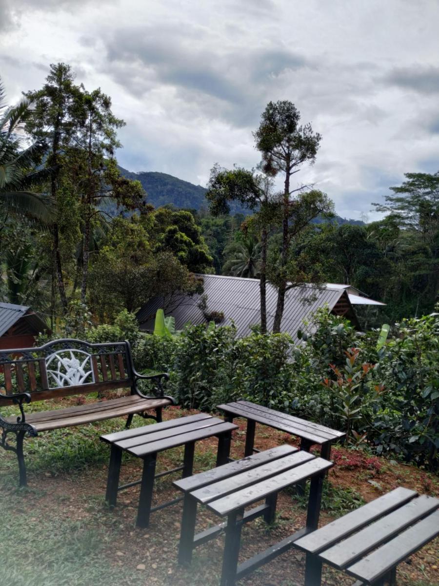 outdoor BBQ area