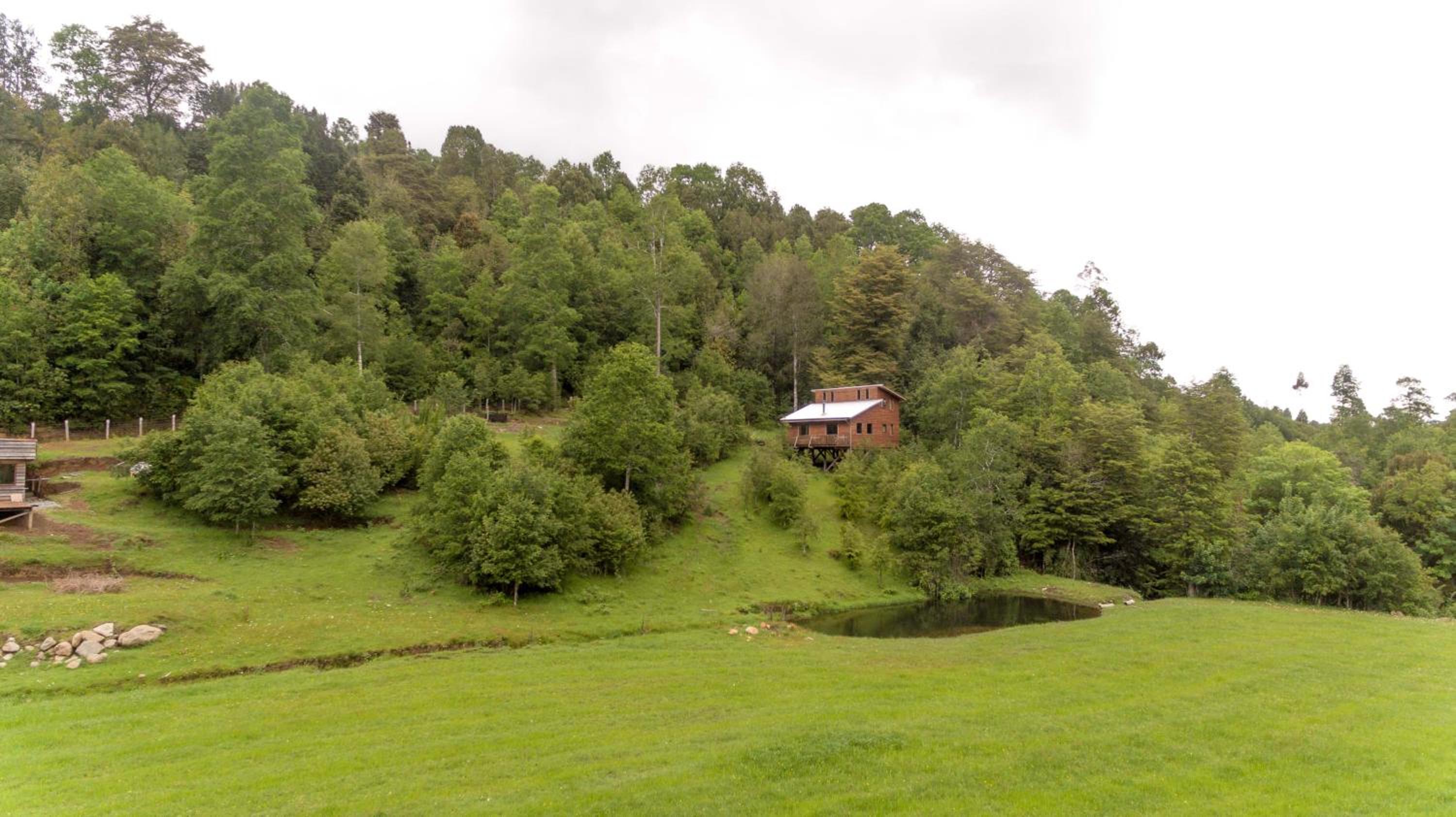 Entre Pampa y Bosque view 5
