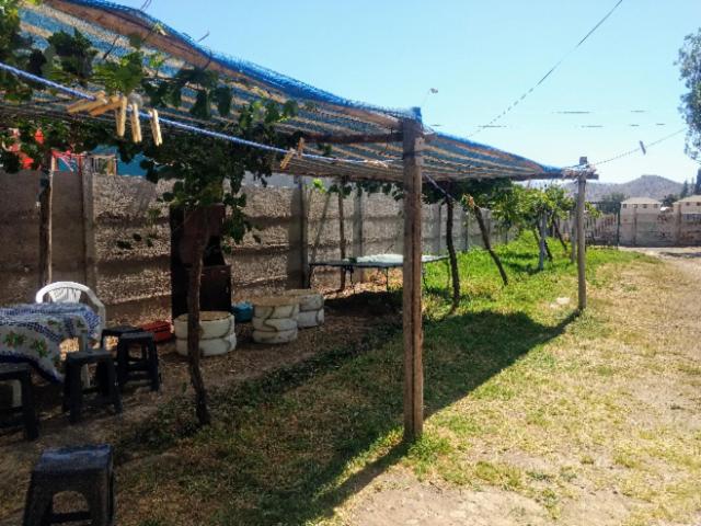 Granja Vip Valle de Elqui