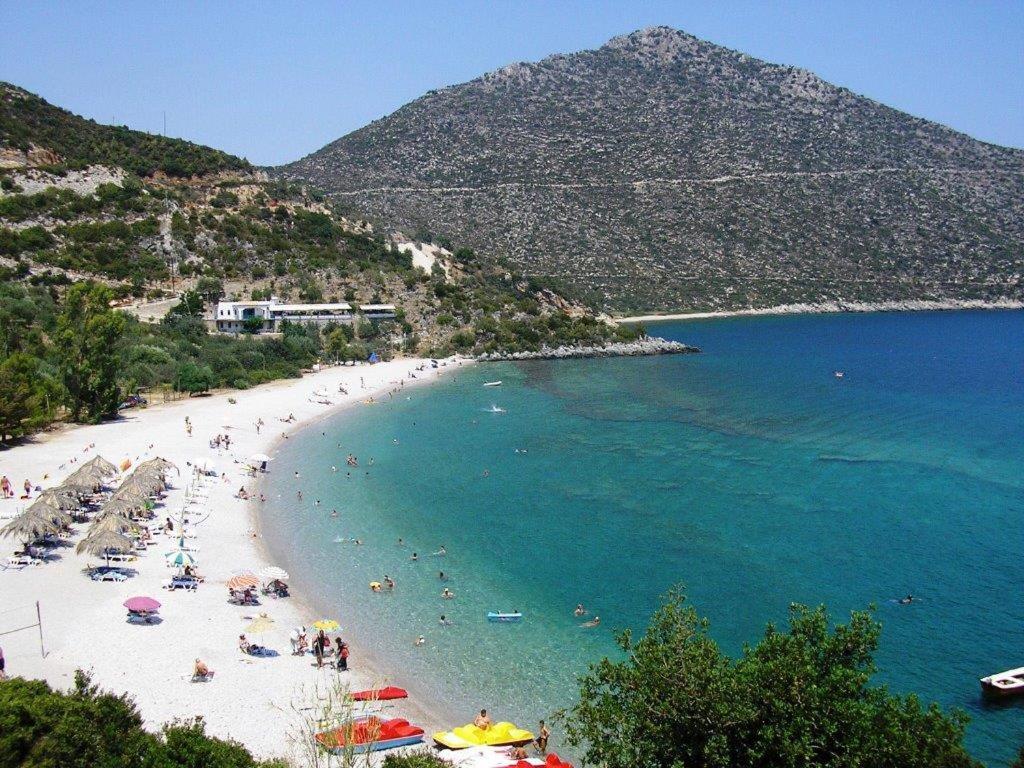 Photo 44