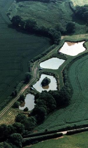 Newcourt Barton