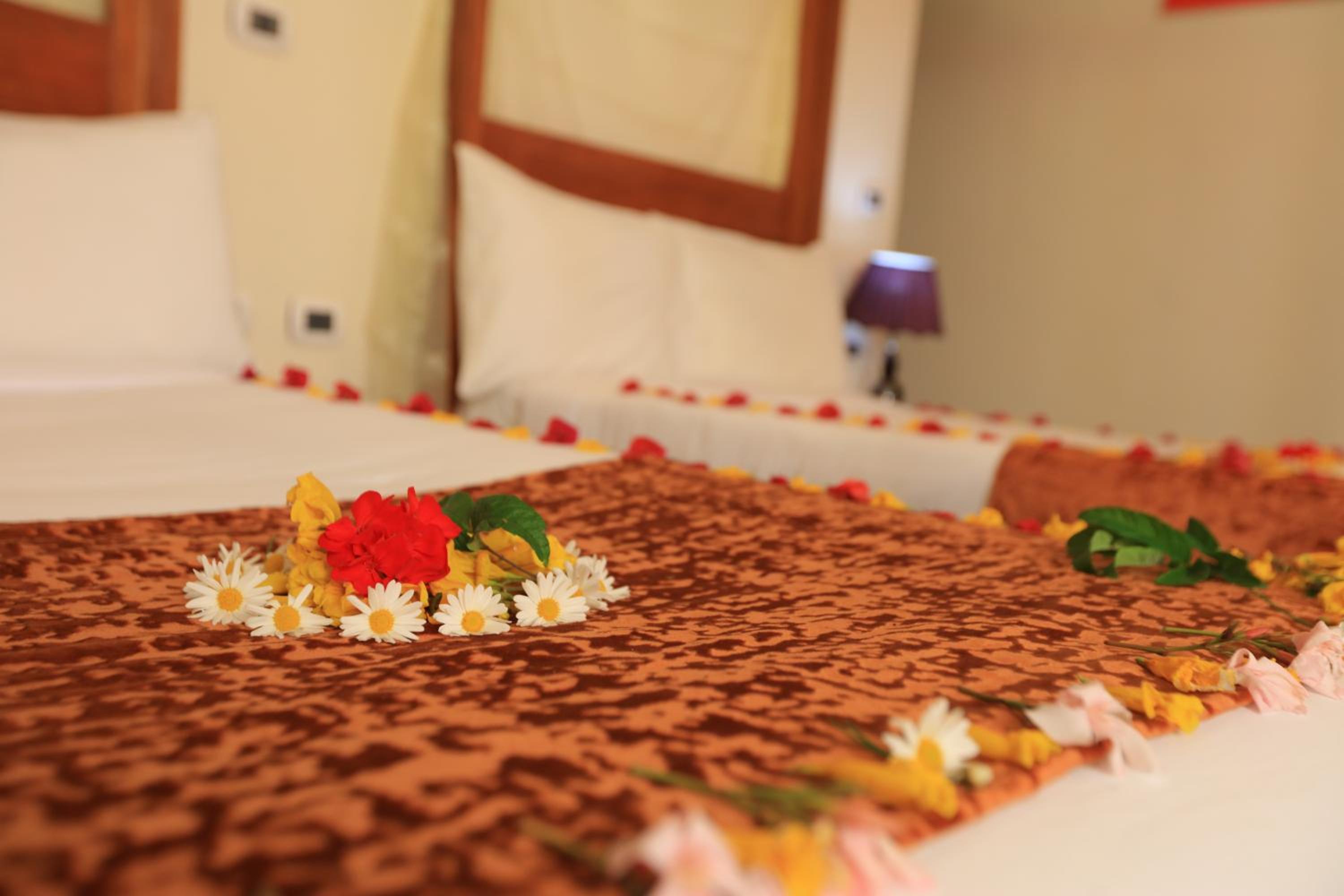 Mezena Resort & SPA