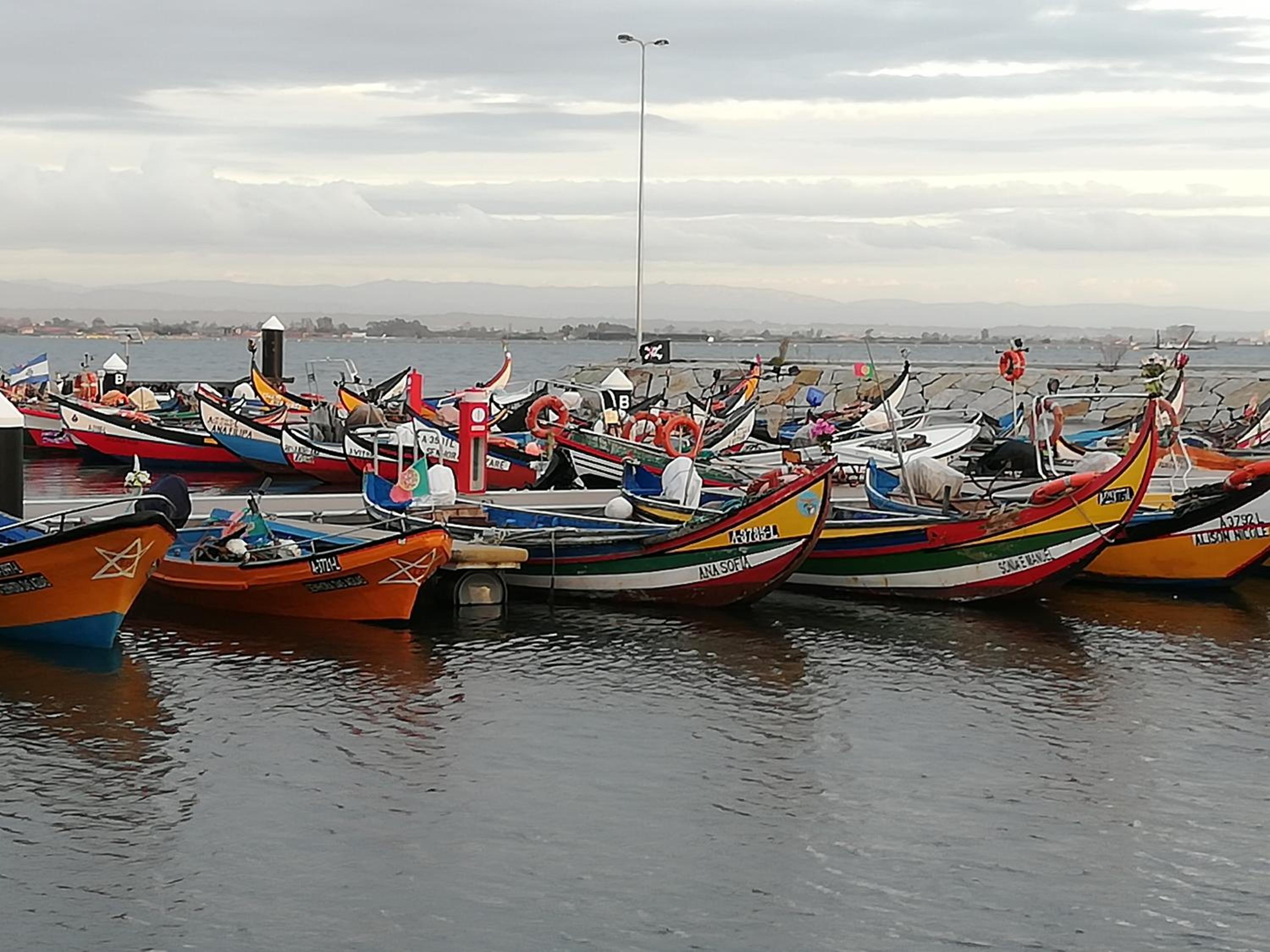 Photo 48