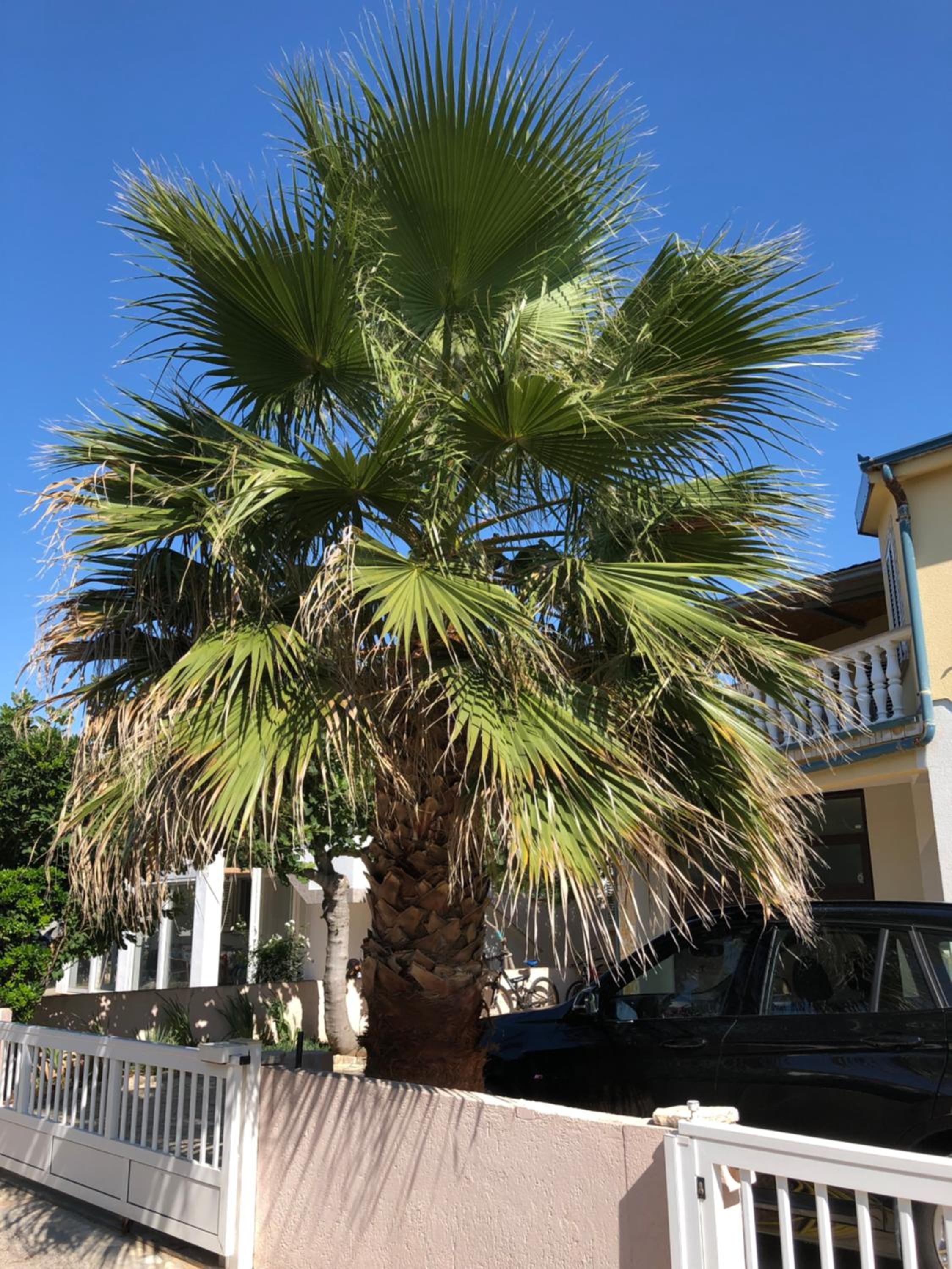 Apartment Plavo Sidro